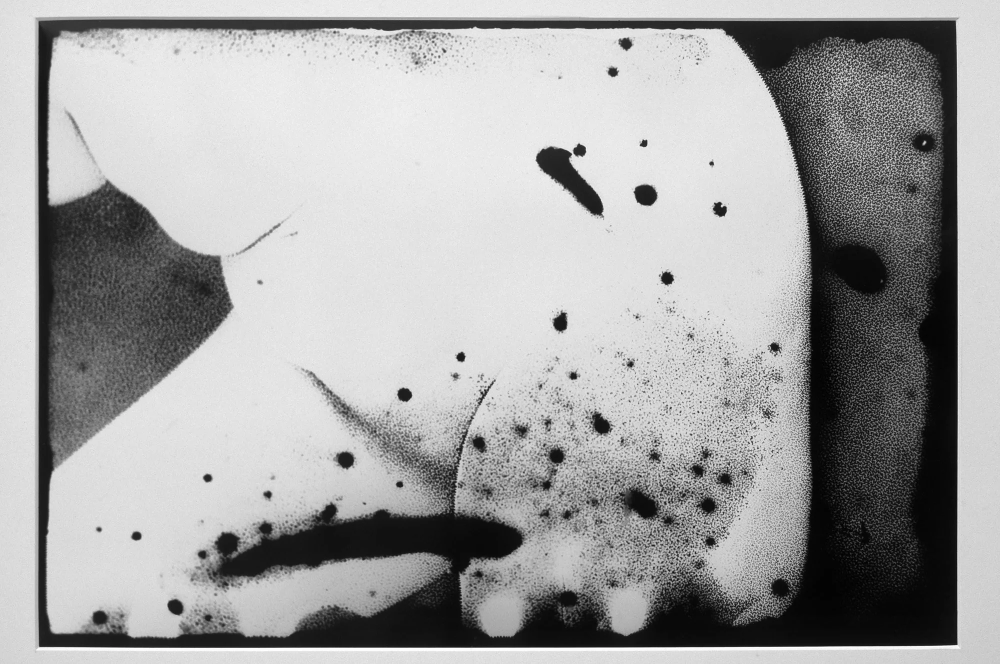 untitled-4.jpg