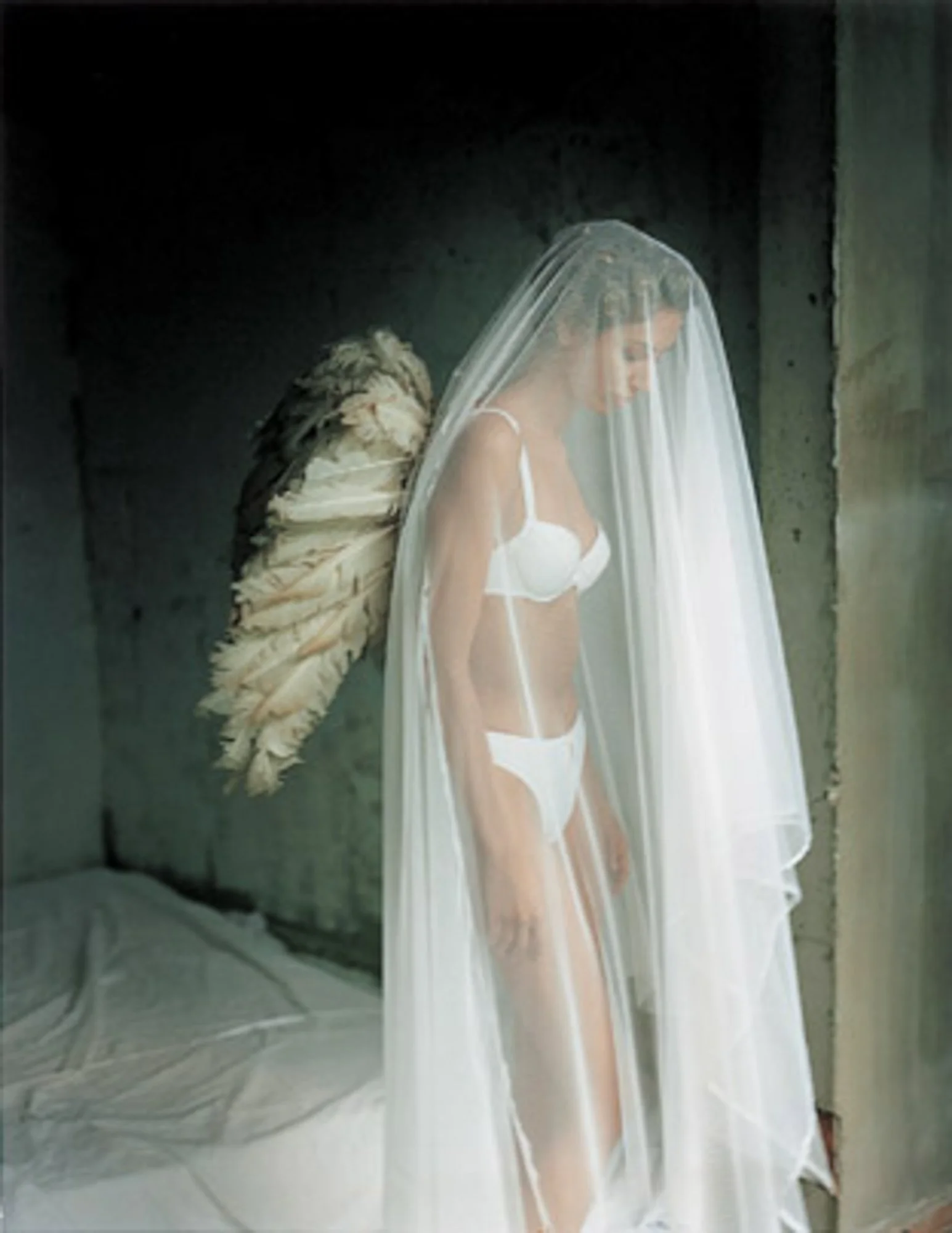 untitled-2.jpg