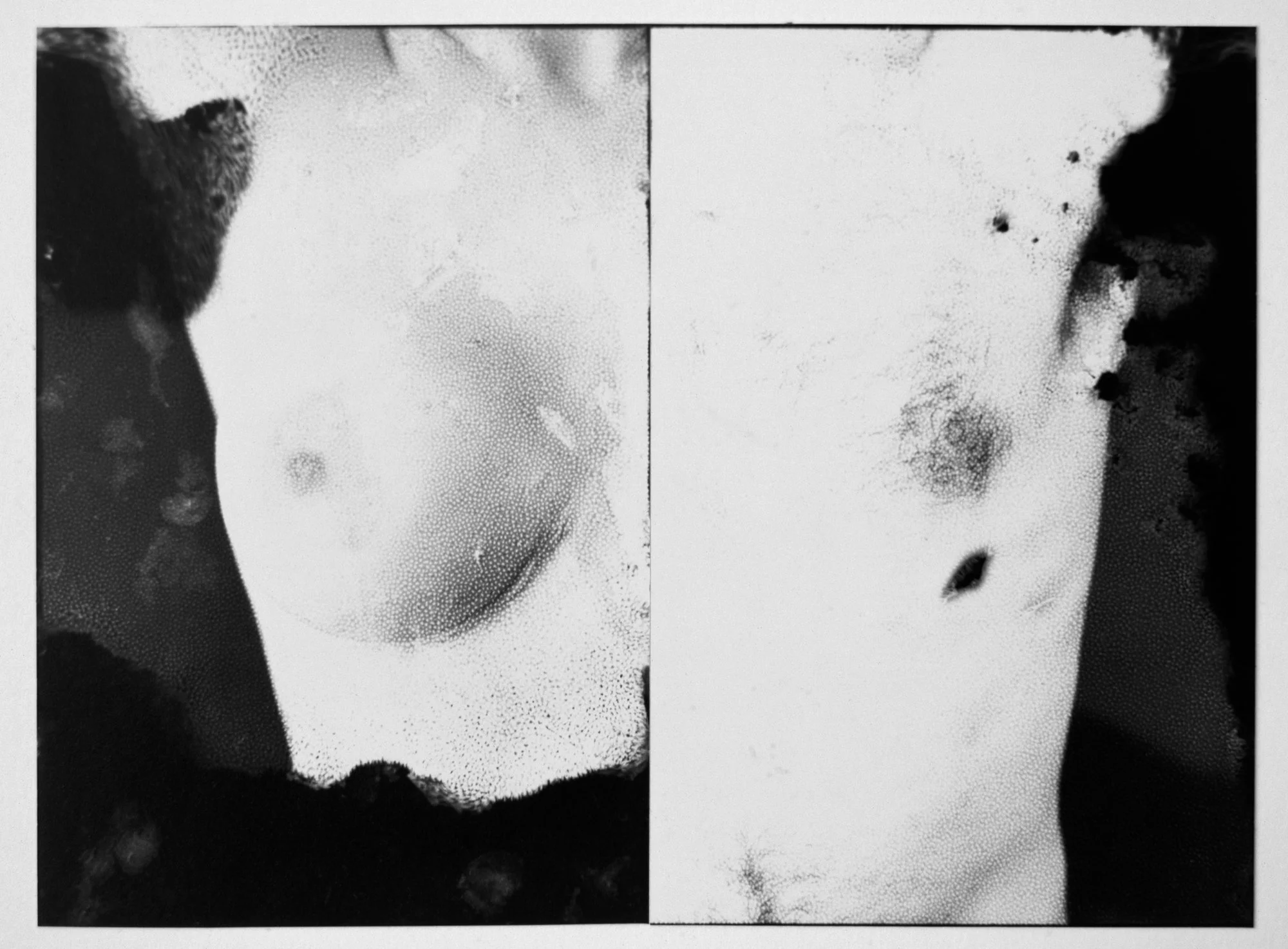 untitled-3.jpg