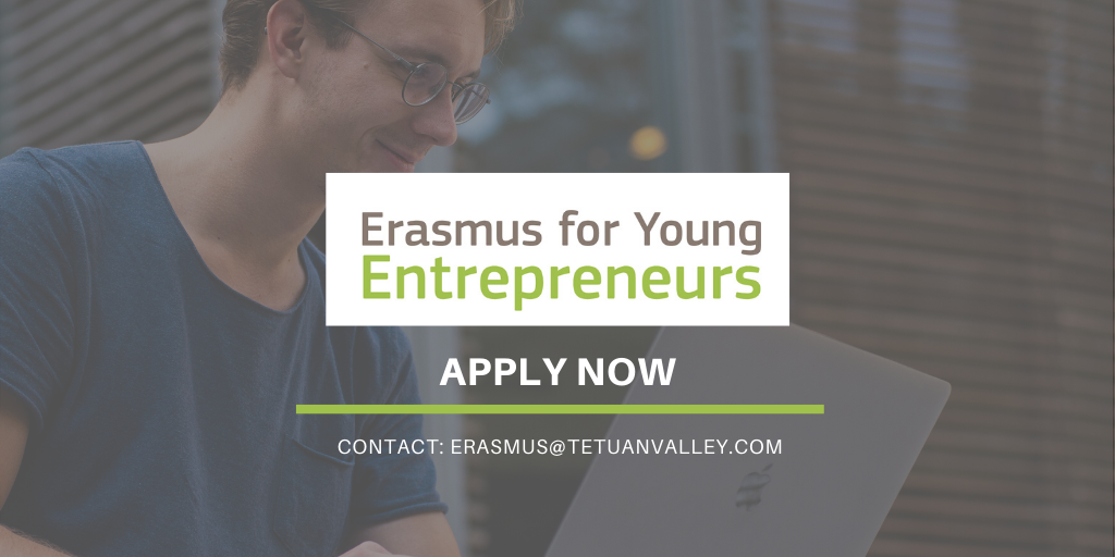 Erasmus for Young Entrepreneurs, learning entrepreneurship by working abroad