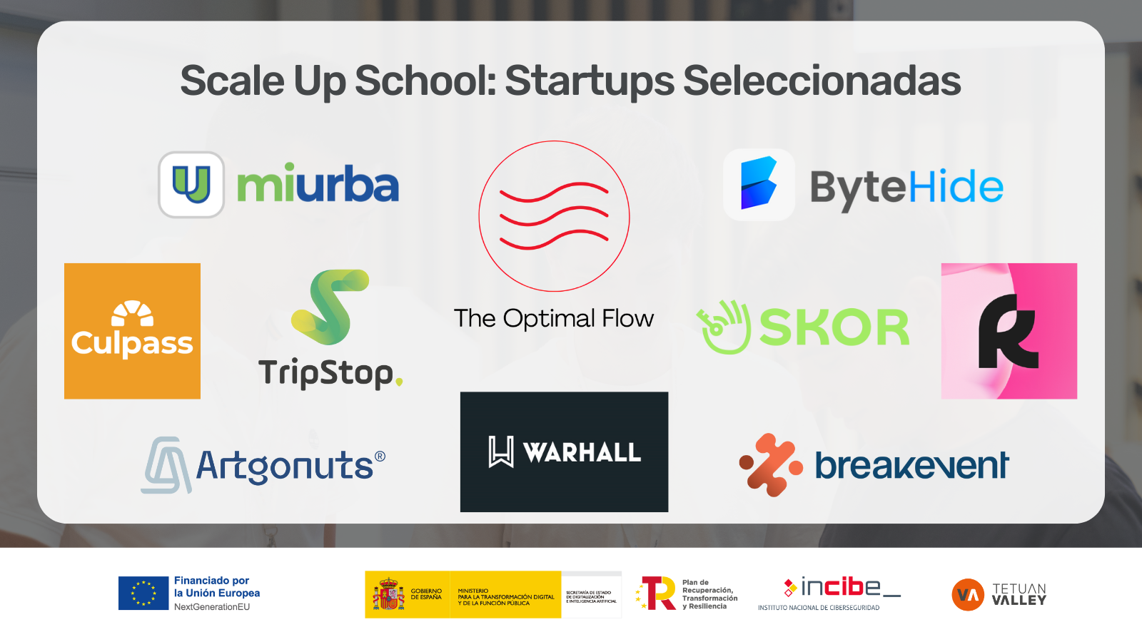   Logos de las startups seleccionadas para la I Edición del programa Scale Up School  