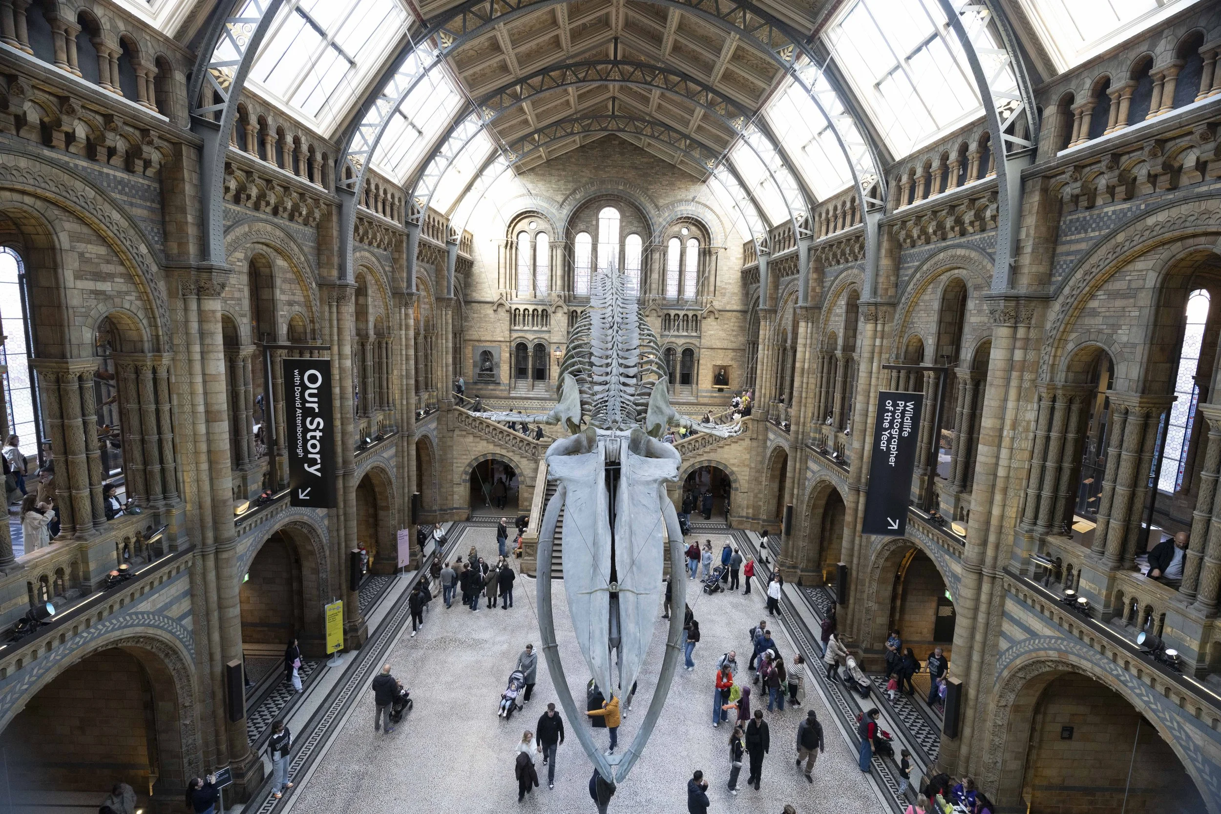 The Natural History Museum 