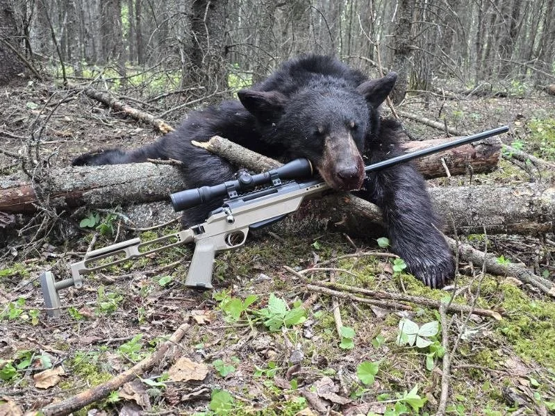 chassis bear 2 (1).JPG