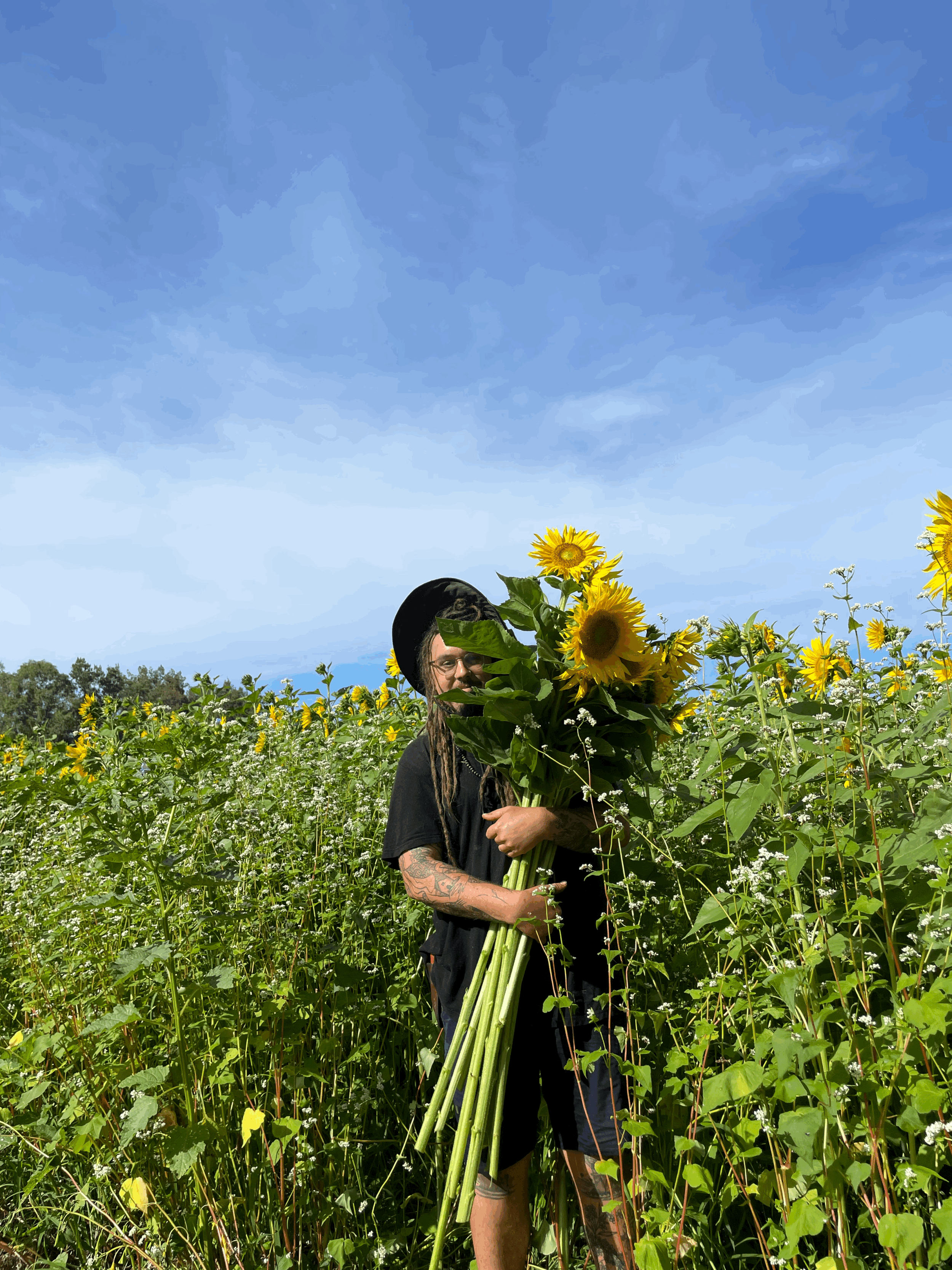 Food Forestry and Syntropic Farming