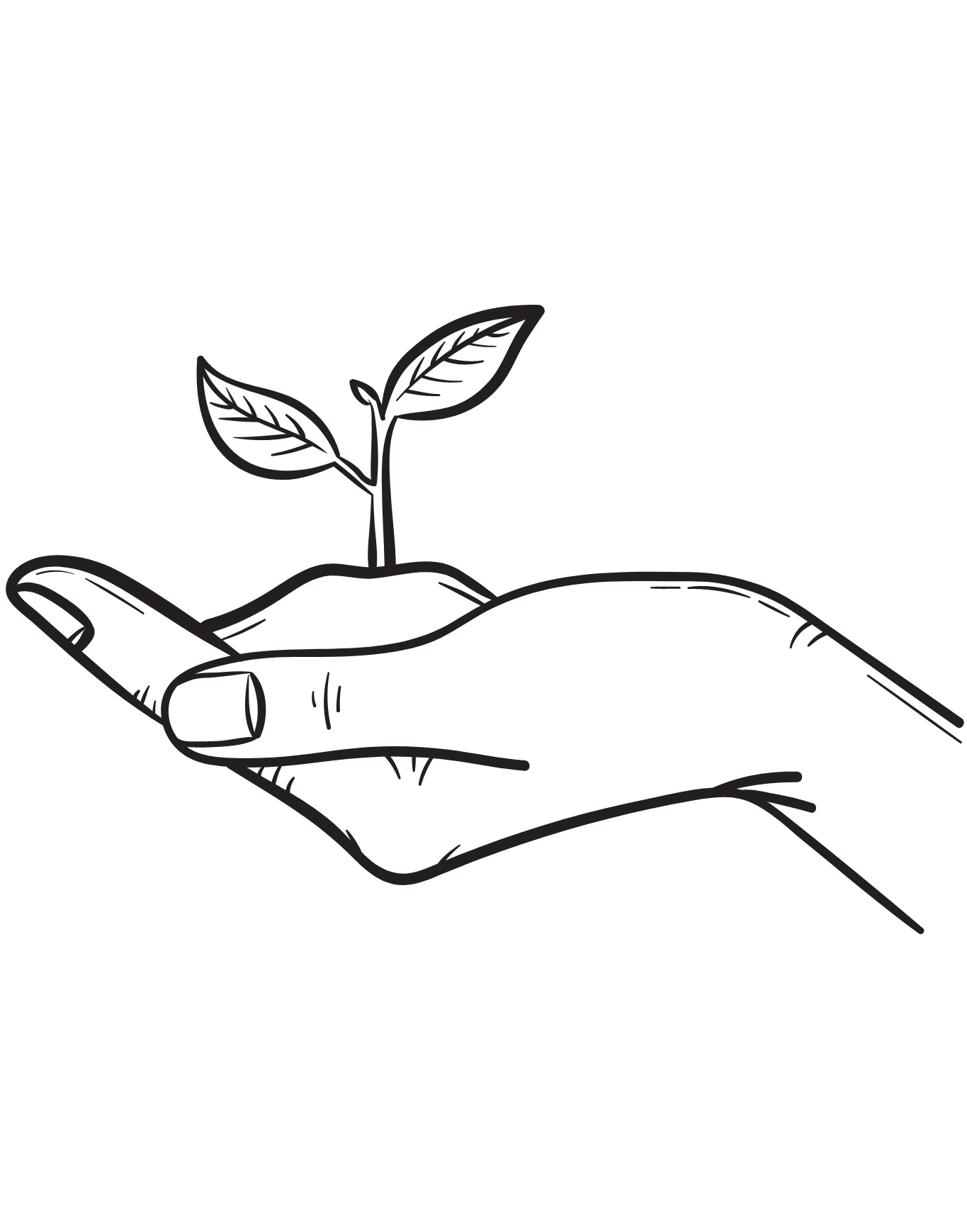 Sprout