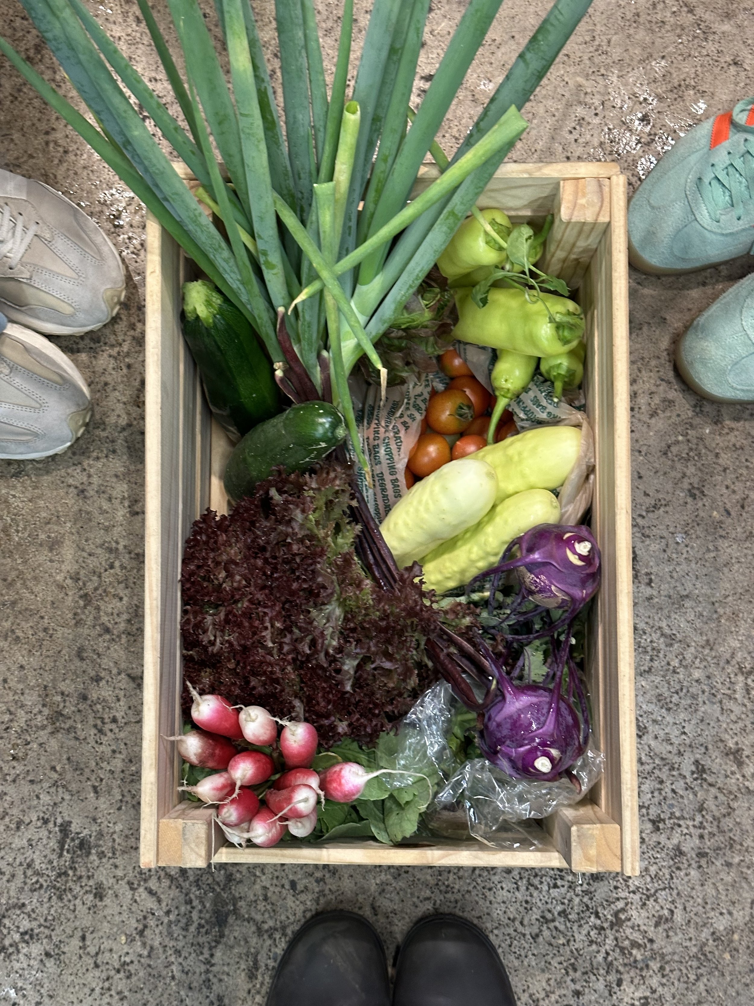 Grow at Home Workshop