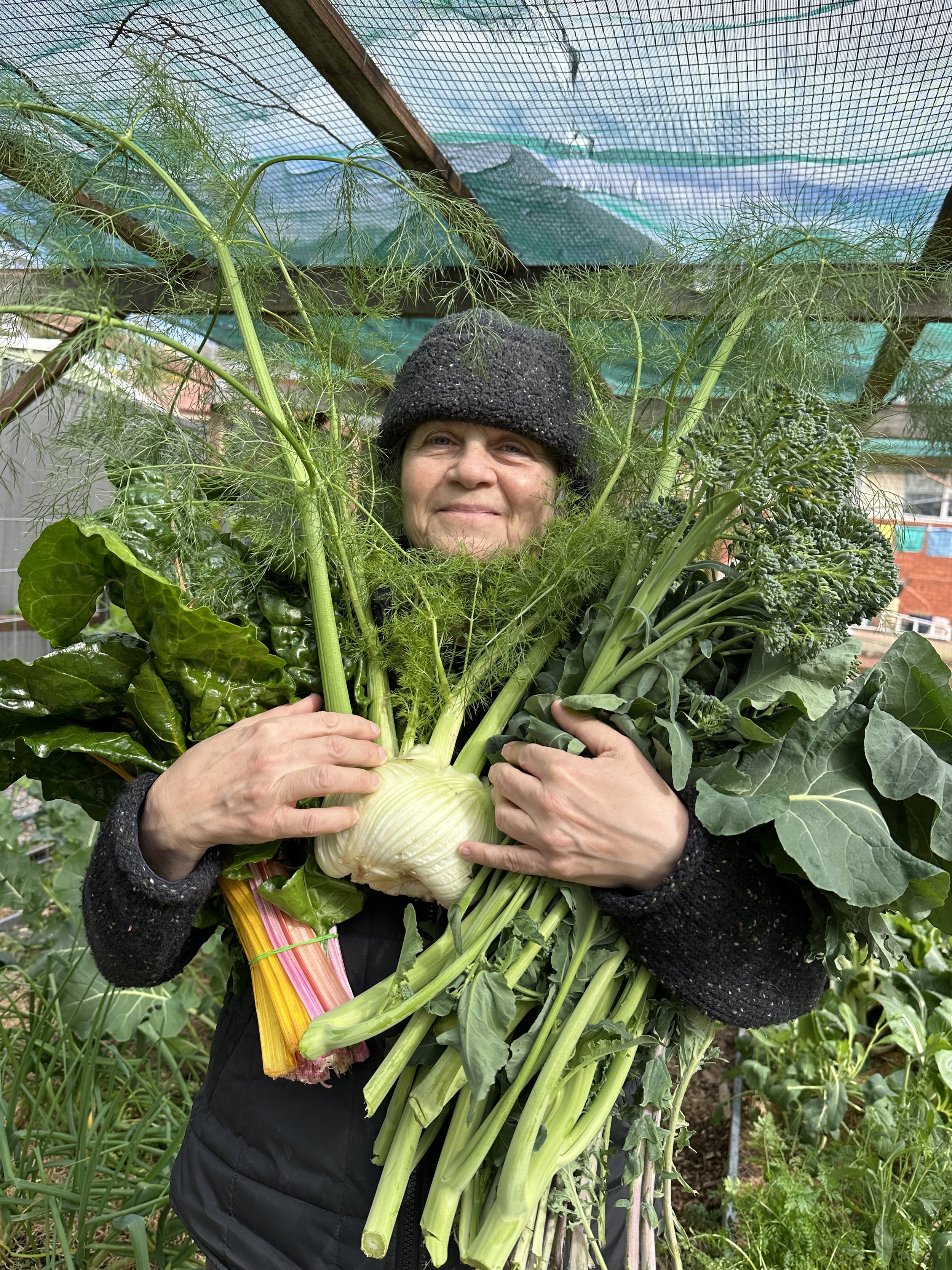 Grow at Home Workshop