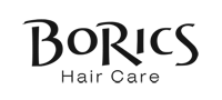 borics_logo.png