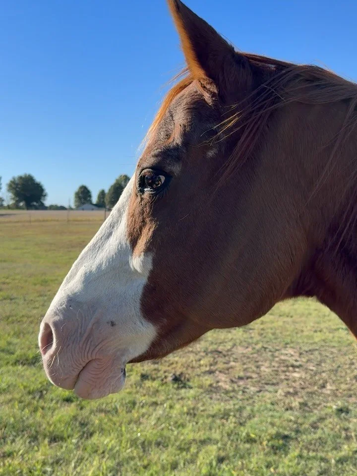 You don&rsquo;t do life. You calibrate into it. And the moment you begin, it becomes fun.

Let&rsquo;s talk about self love. Because it often gets caught up in the doing, and then the naturalness is lost.

Self love is not about loving yourself more.