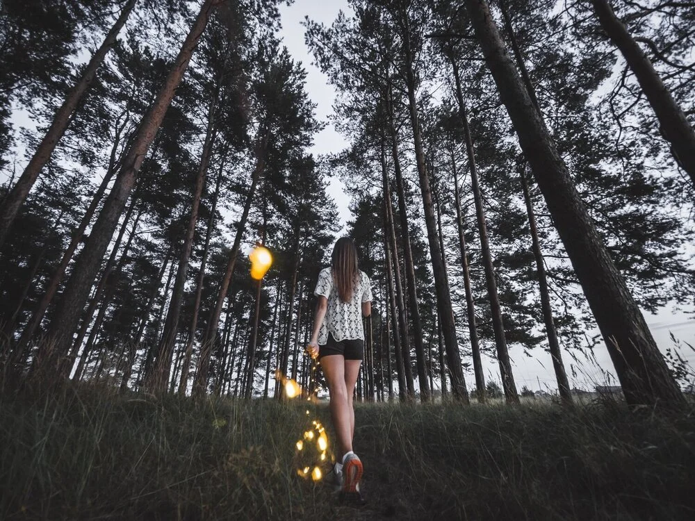 Surround Yourself With the Scent of Pine … It Will Strengthen Both Body and Mind.