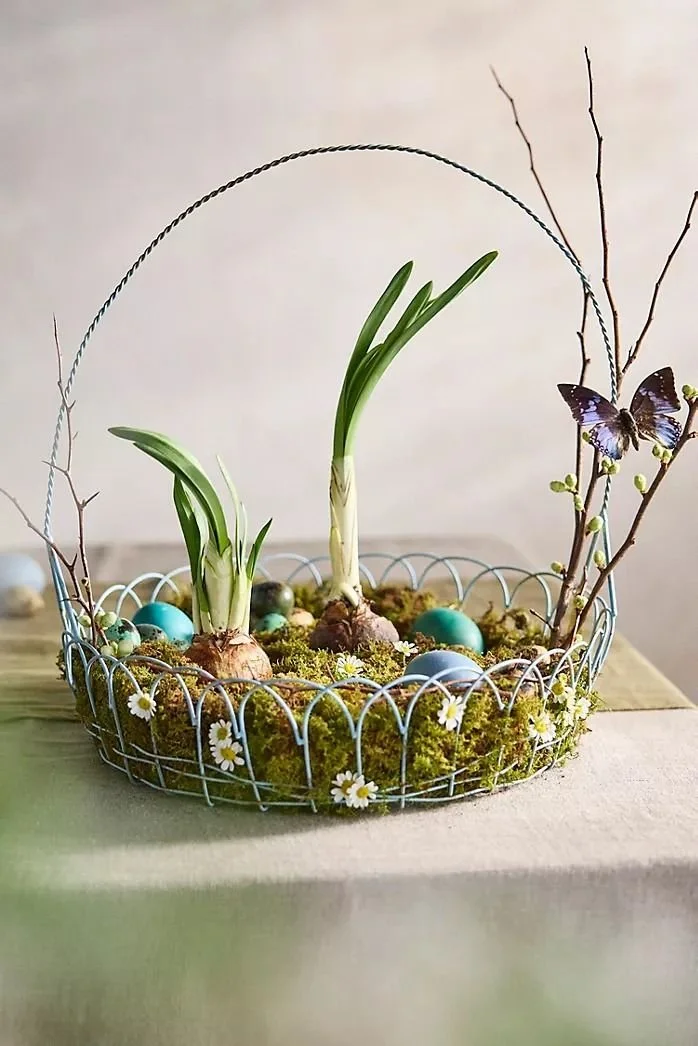 bulbs_natural_eggs.jpg