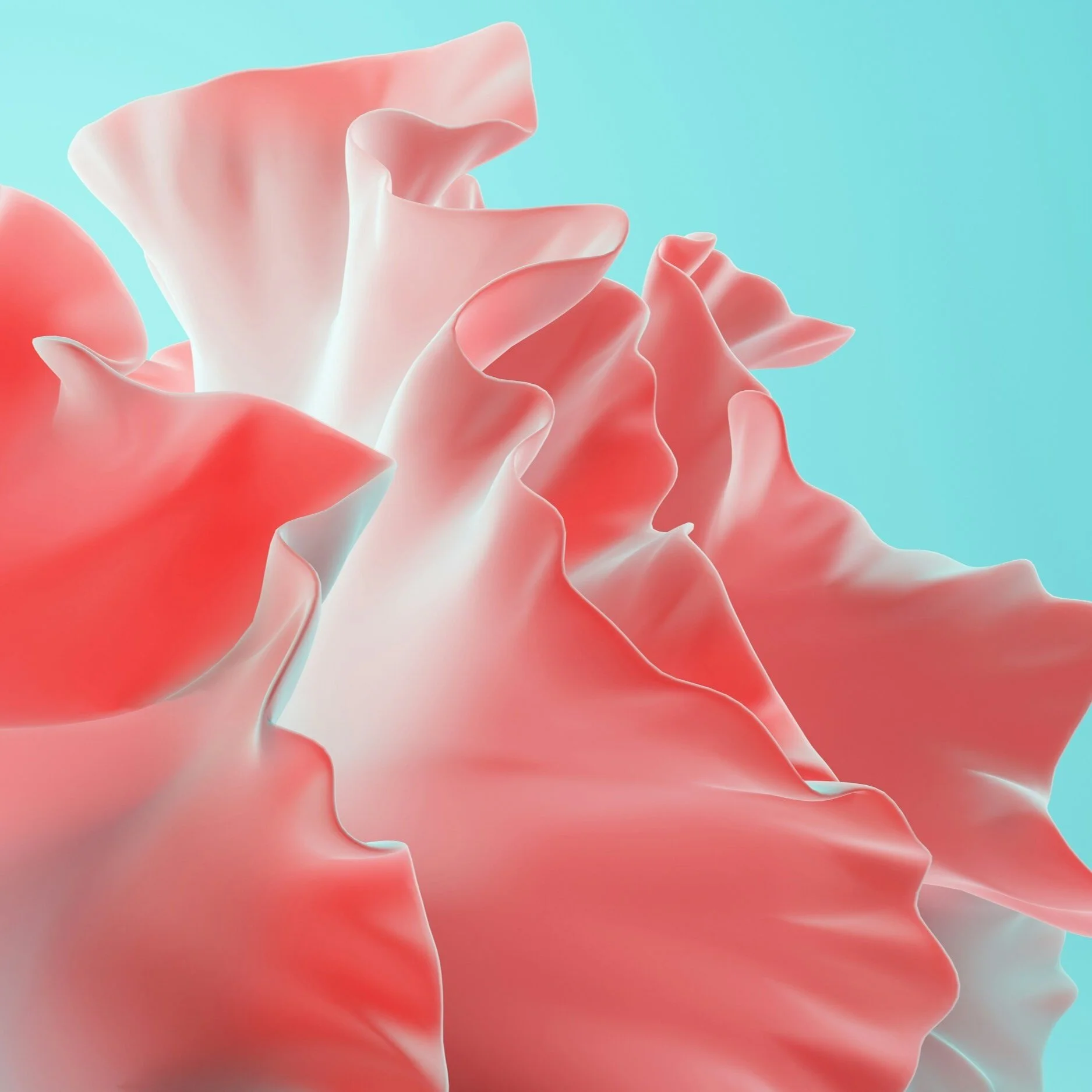 Close-up of pink ruffled flower petals against a light blue background.