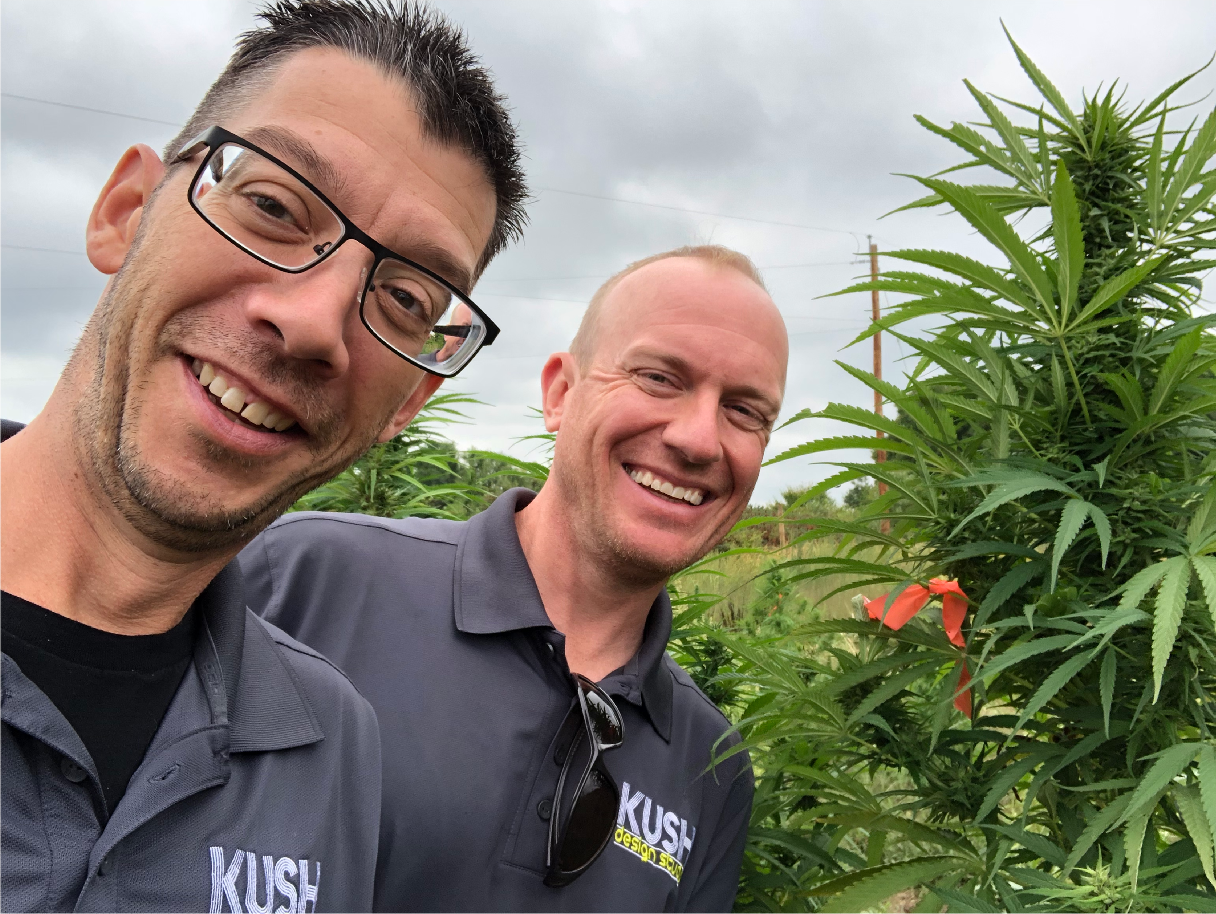 kush web mike and ryan.png