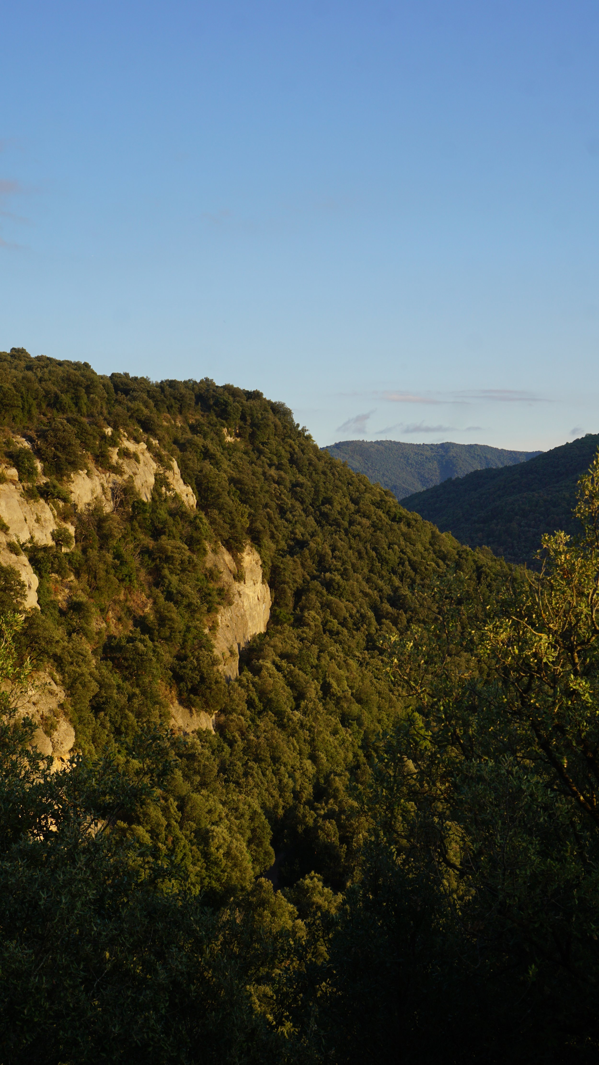 LESPERIT_QUINDAVERHEUL_DSC04251.jpg