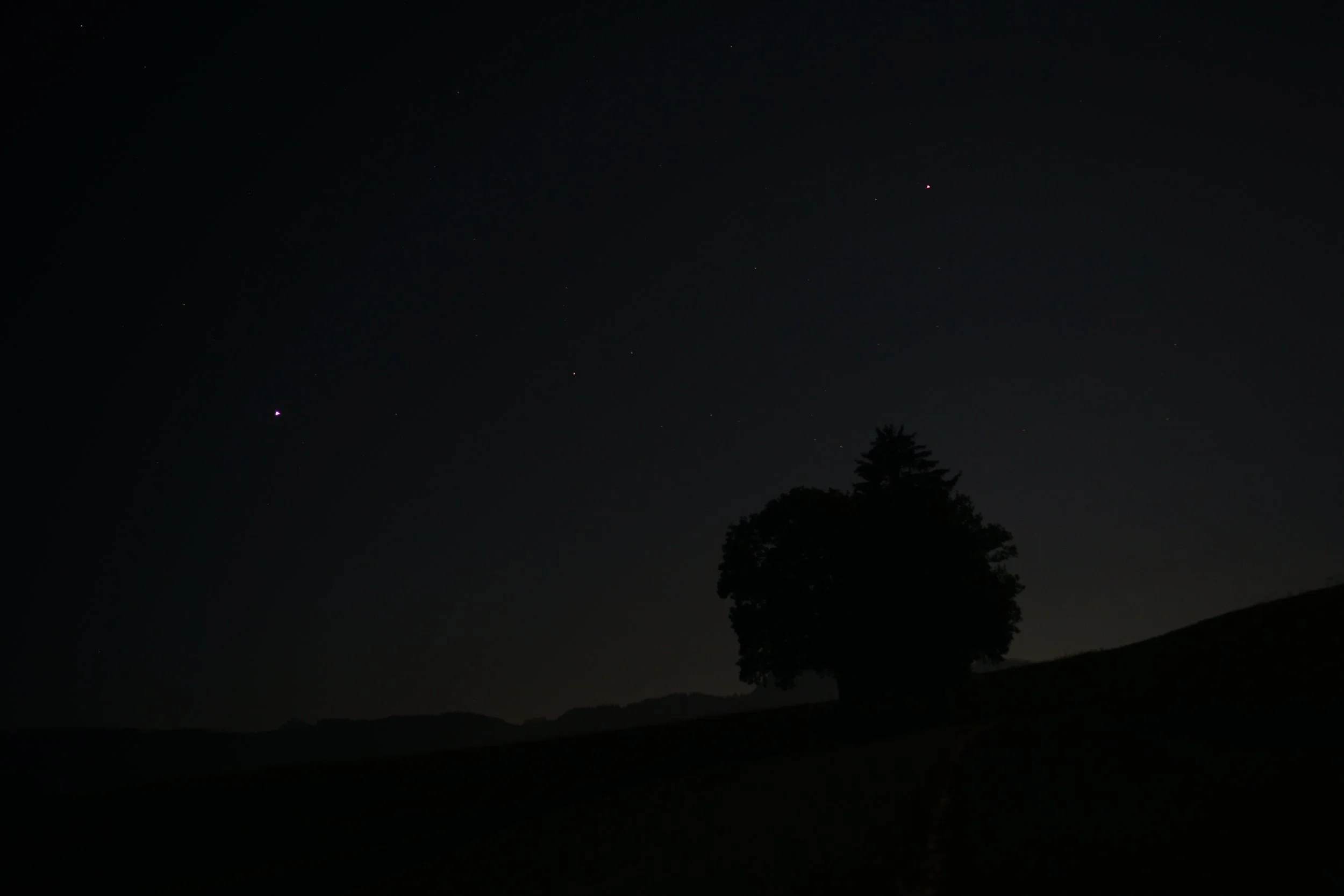 DSC04593.JPG