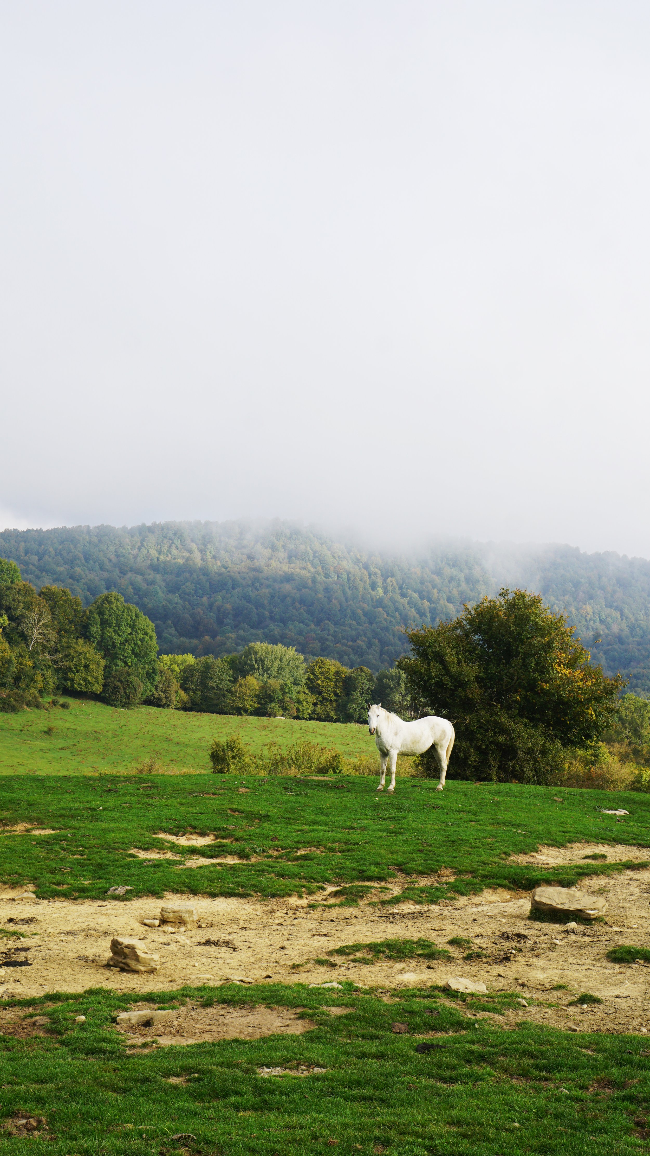 LESPERIT_QUINDAVERHEUL_DSC04276.jpg