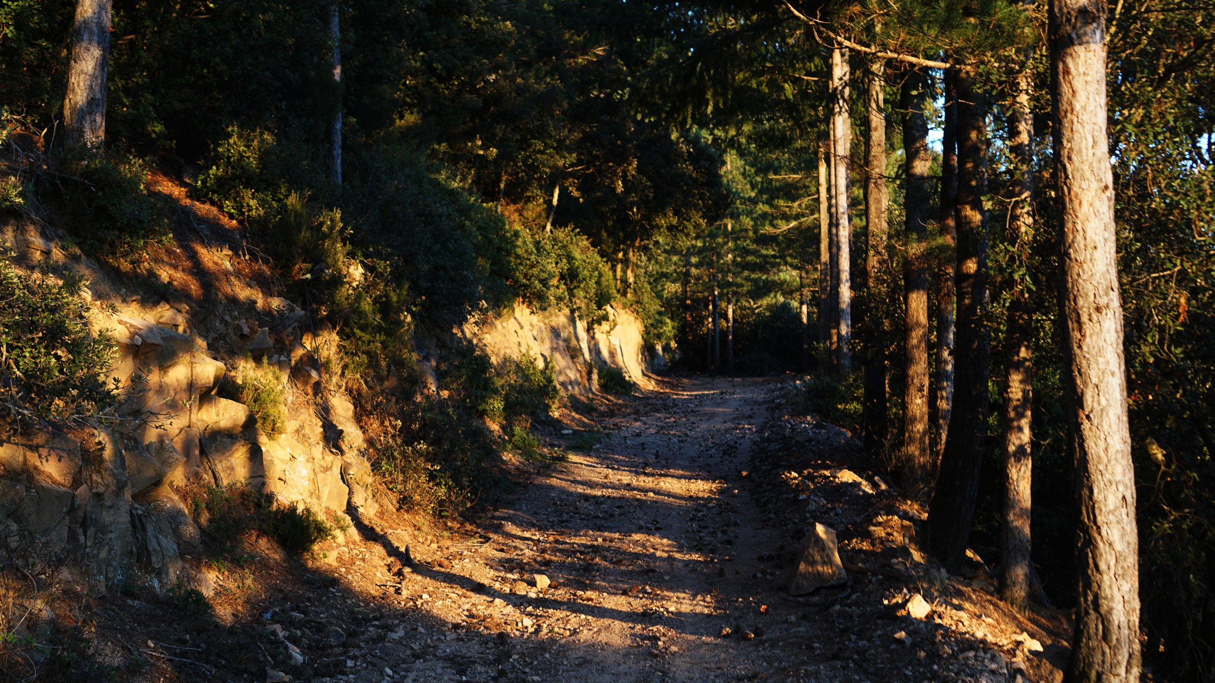 LESPERIT_QUINDAVERHEUL_DSC04198.jpg