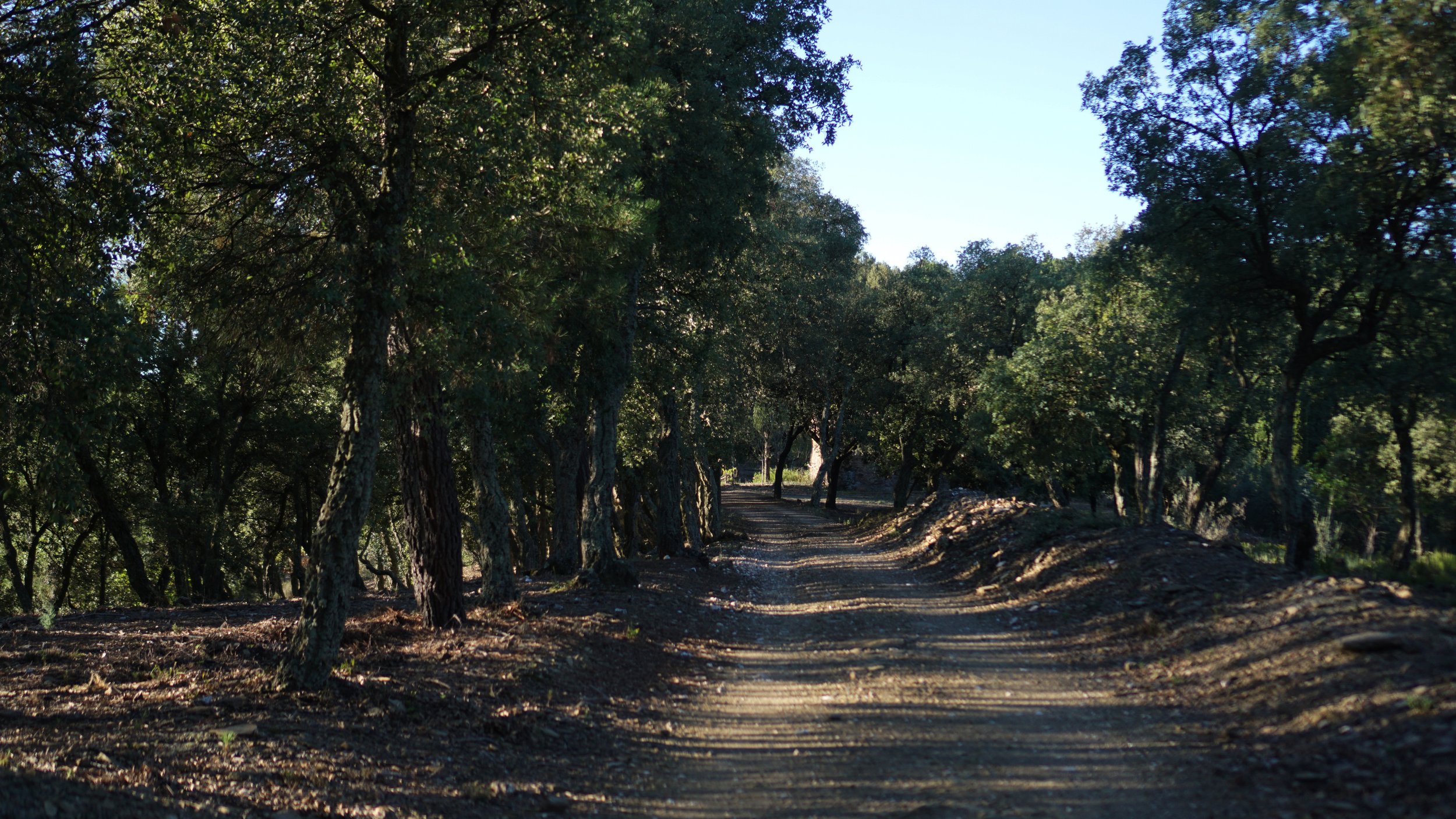 LESPERIT_QUINDAVERHEUL_DSC04039.jpg