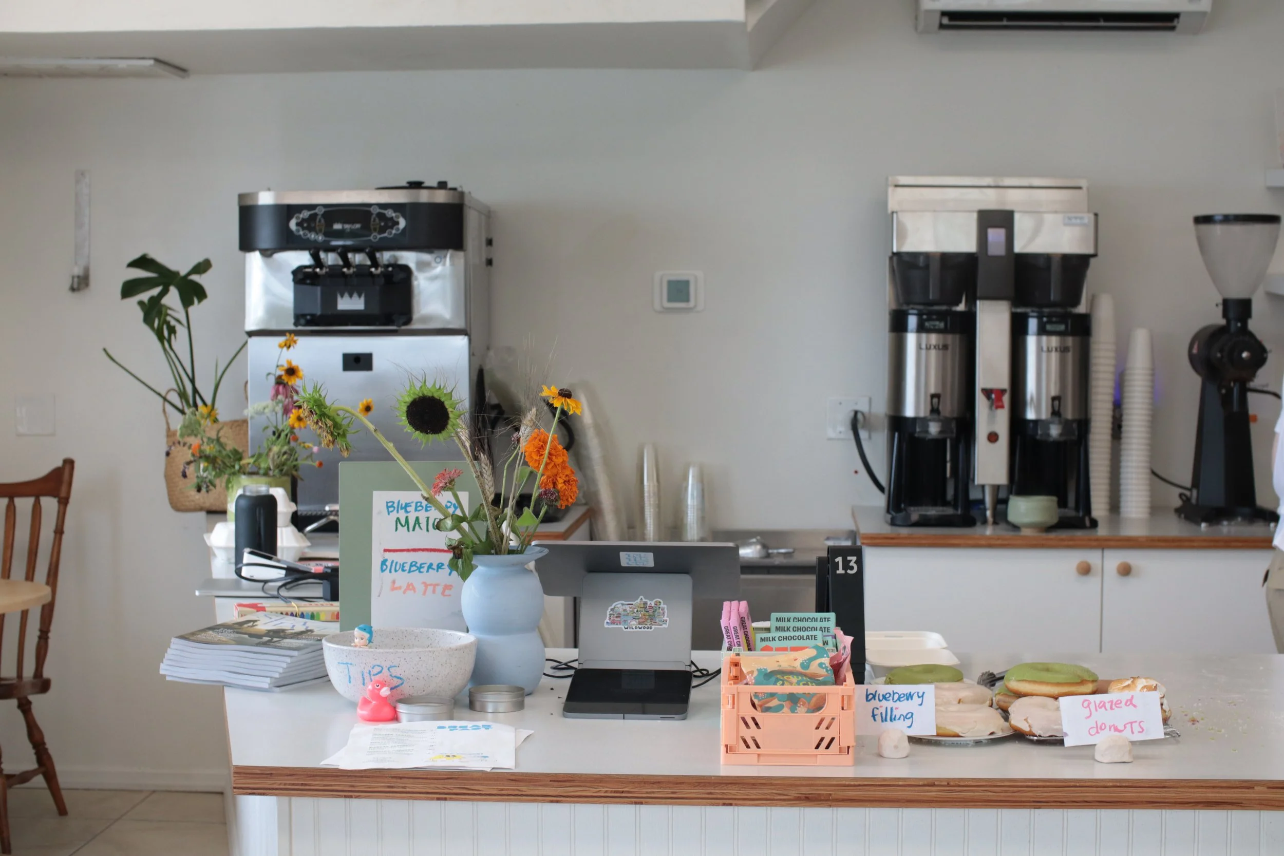 Turtle Gut: A Bayside Coffee Shop in Wildwood Crest, NJ