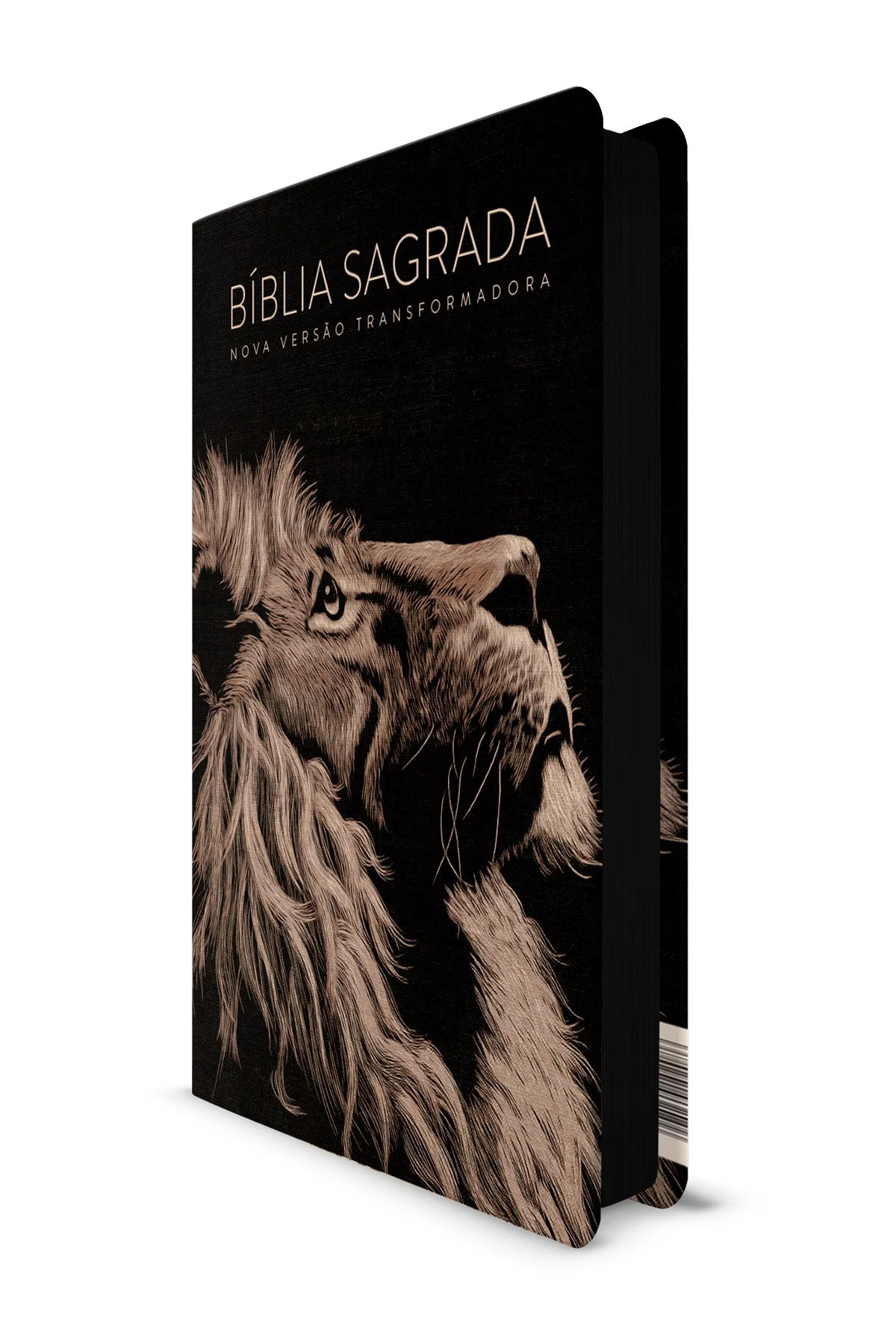lion-head-borda.jpg