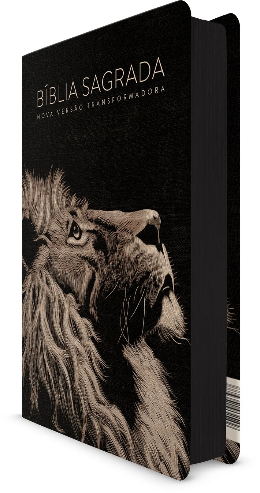 lion-head-lg-borda.jpg