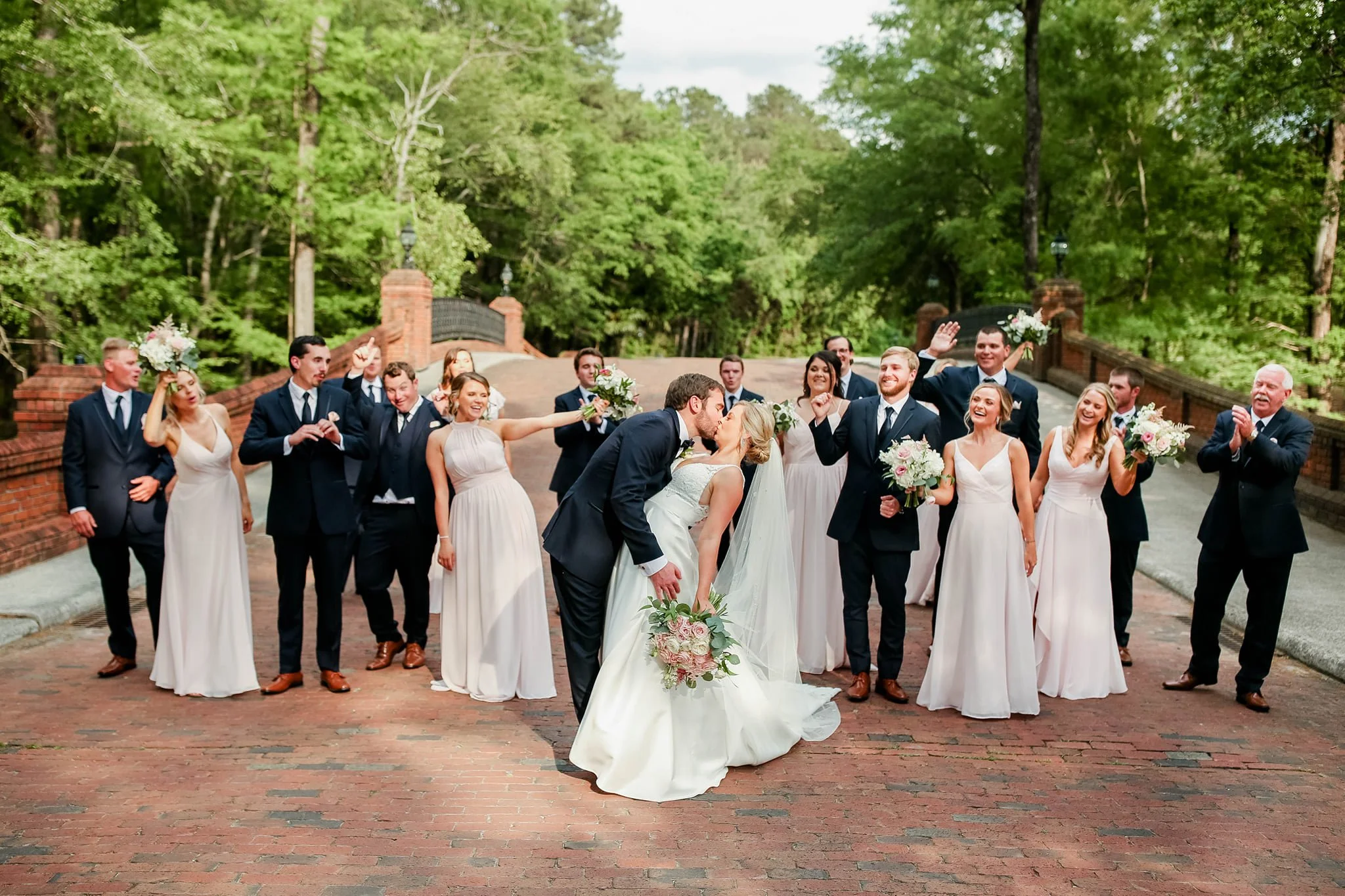 Aster Blooms Photography