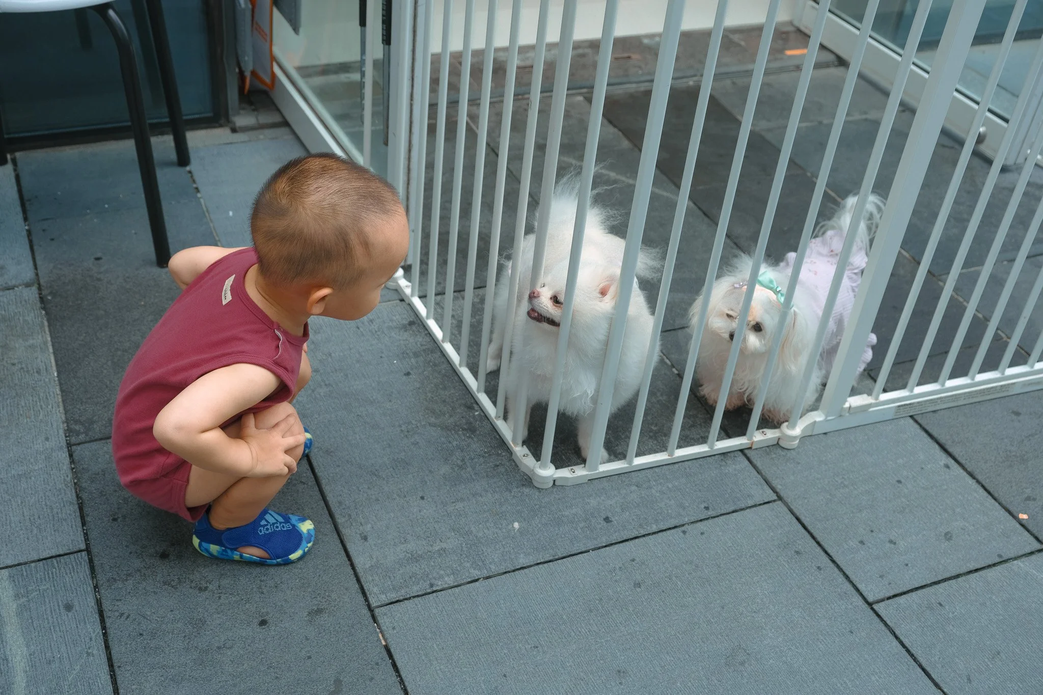 face to face