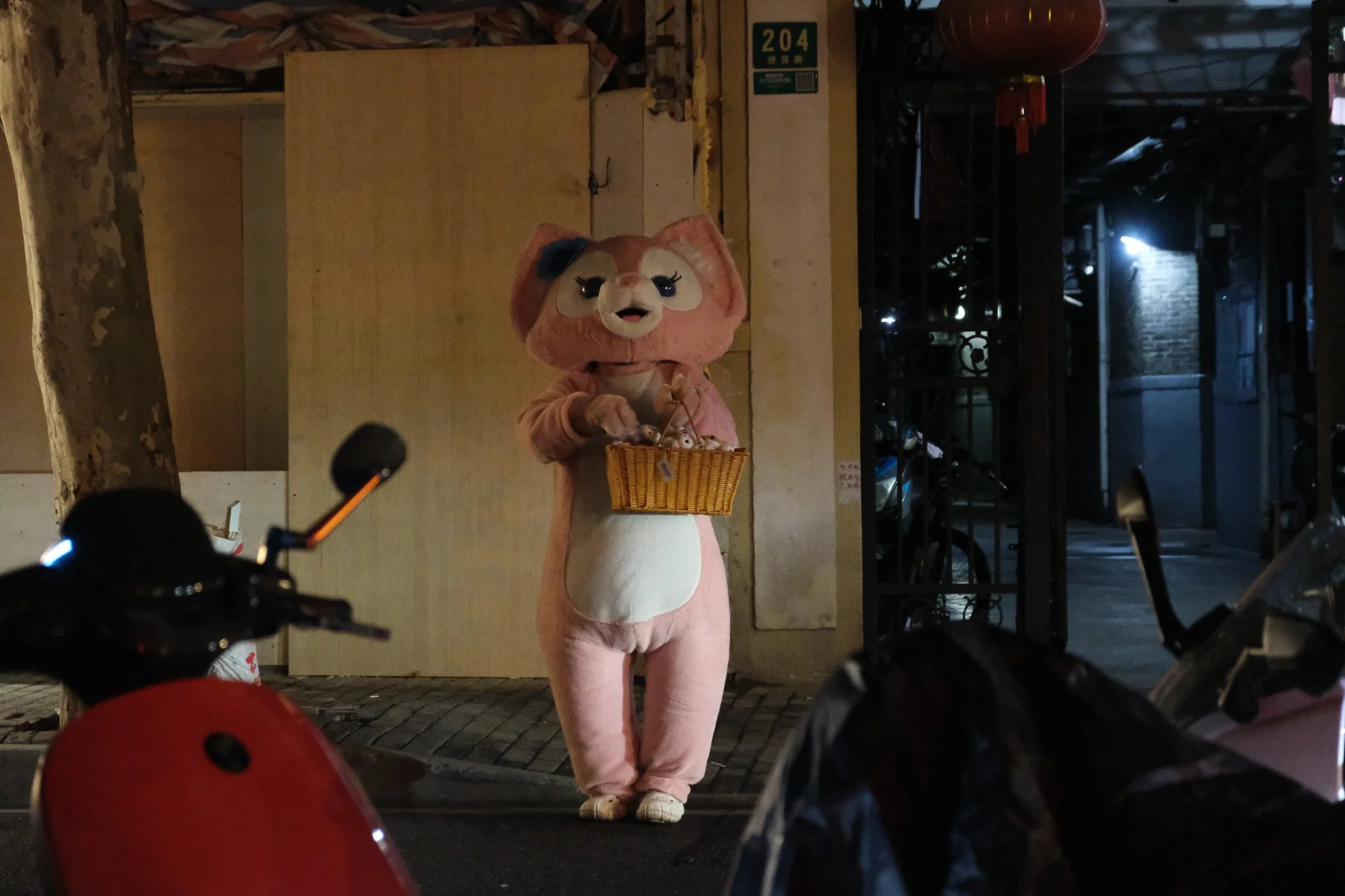 DSCF0841.jpg