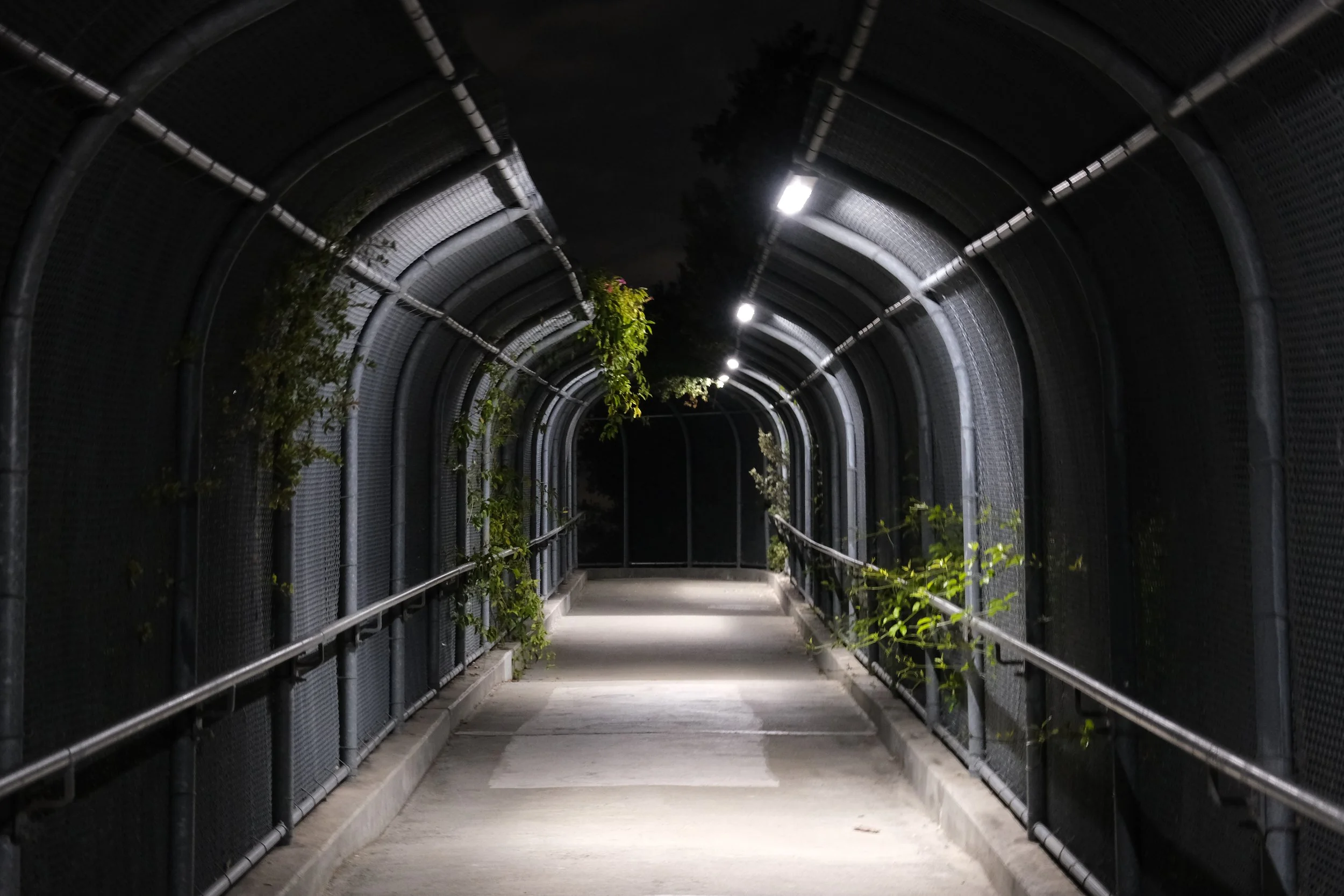 DSCF1156.JPG