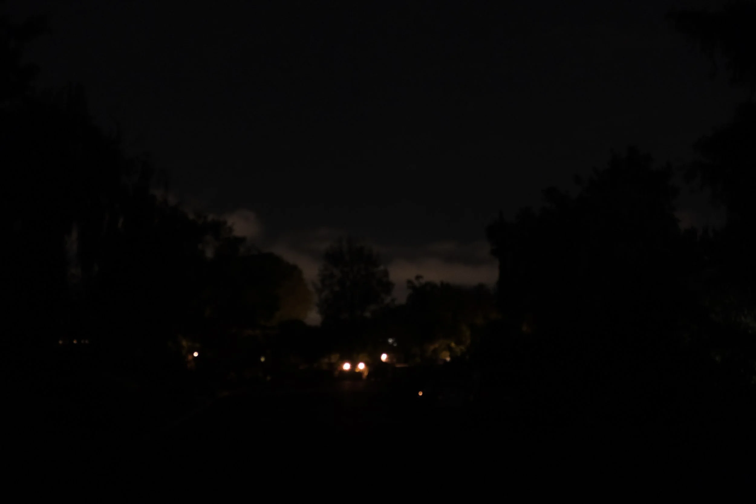 DSCF1222.JPG