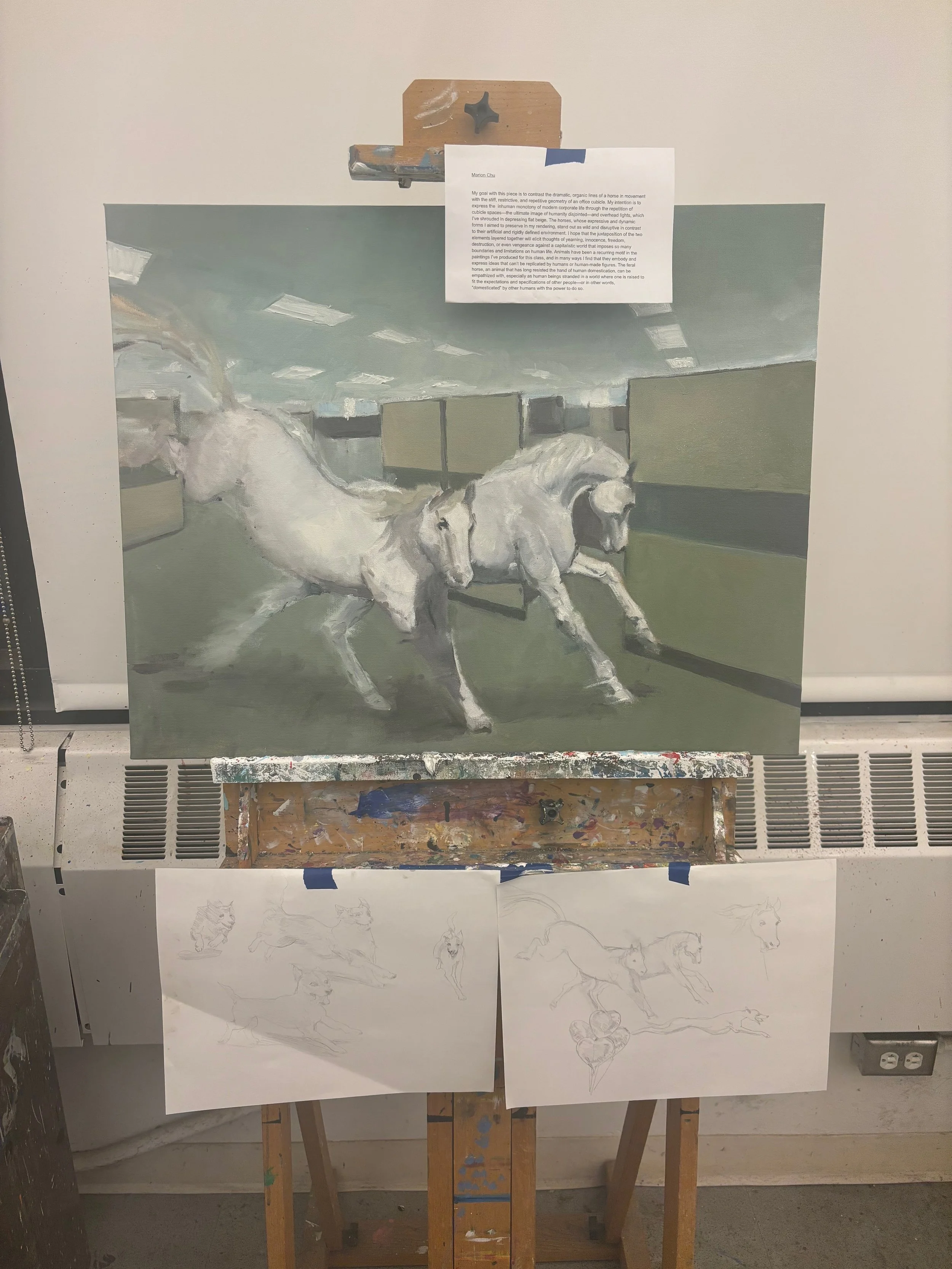 IMG_4051.jpeg