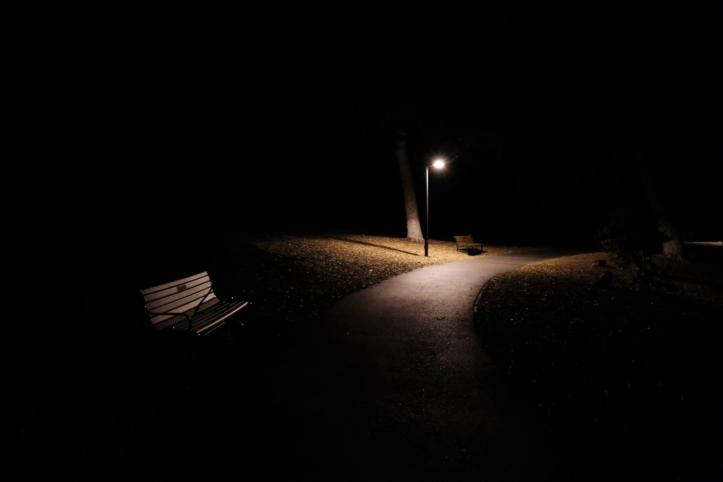 DSCF1113.JPG