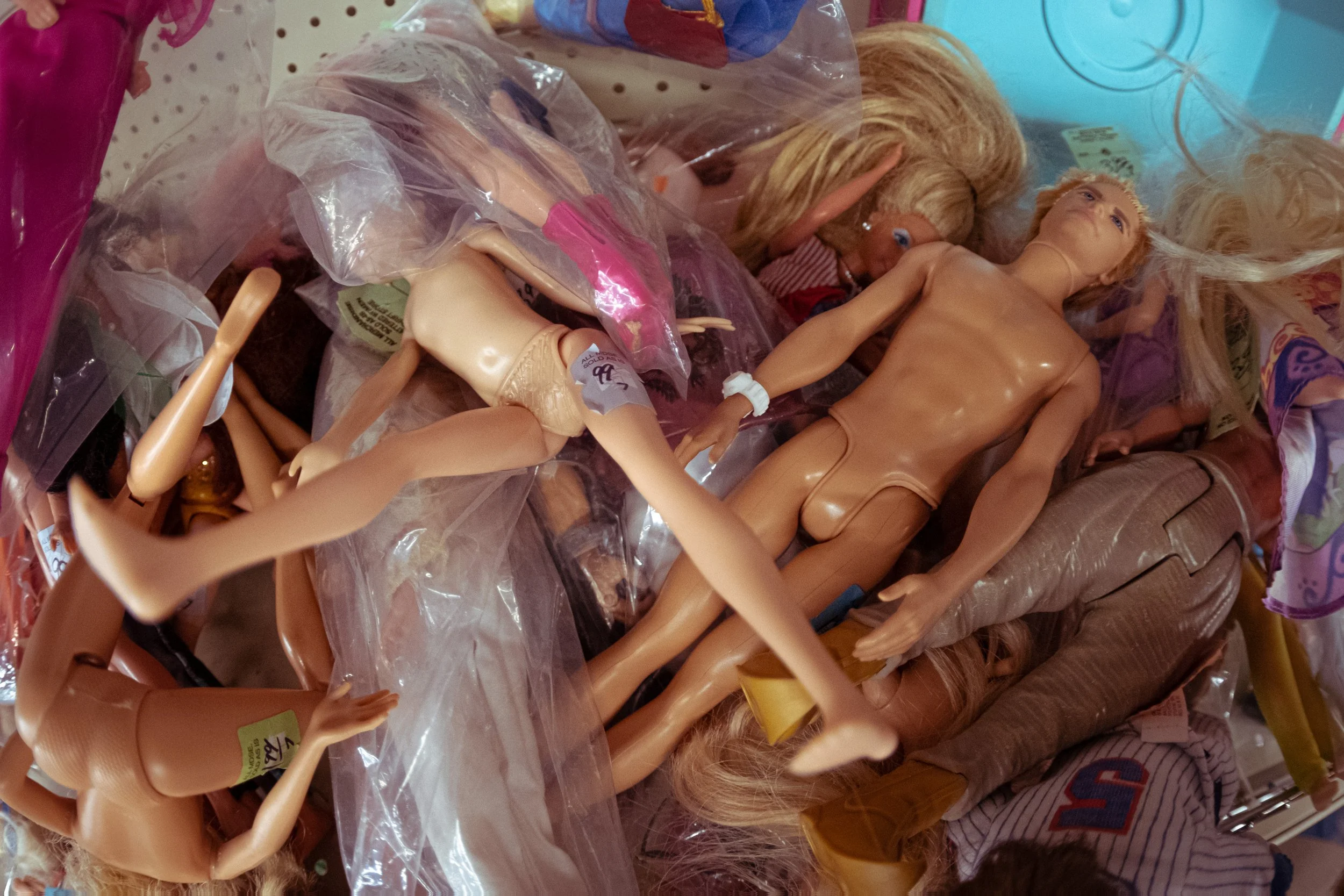 DSCF2856.jpg