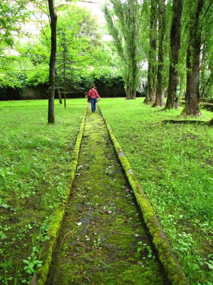 The QUEST for Self Worth