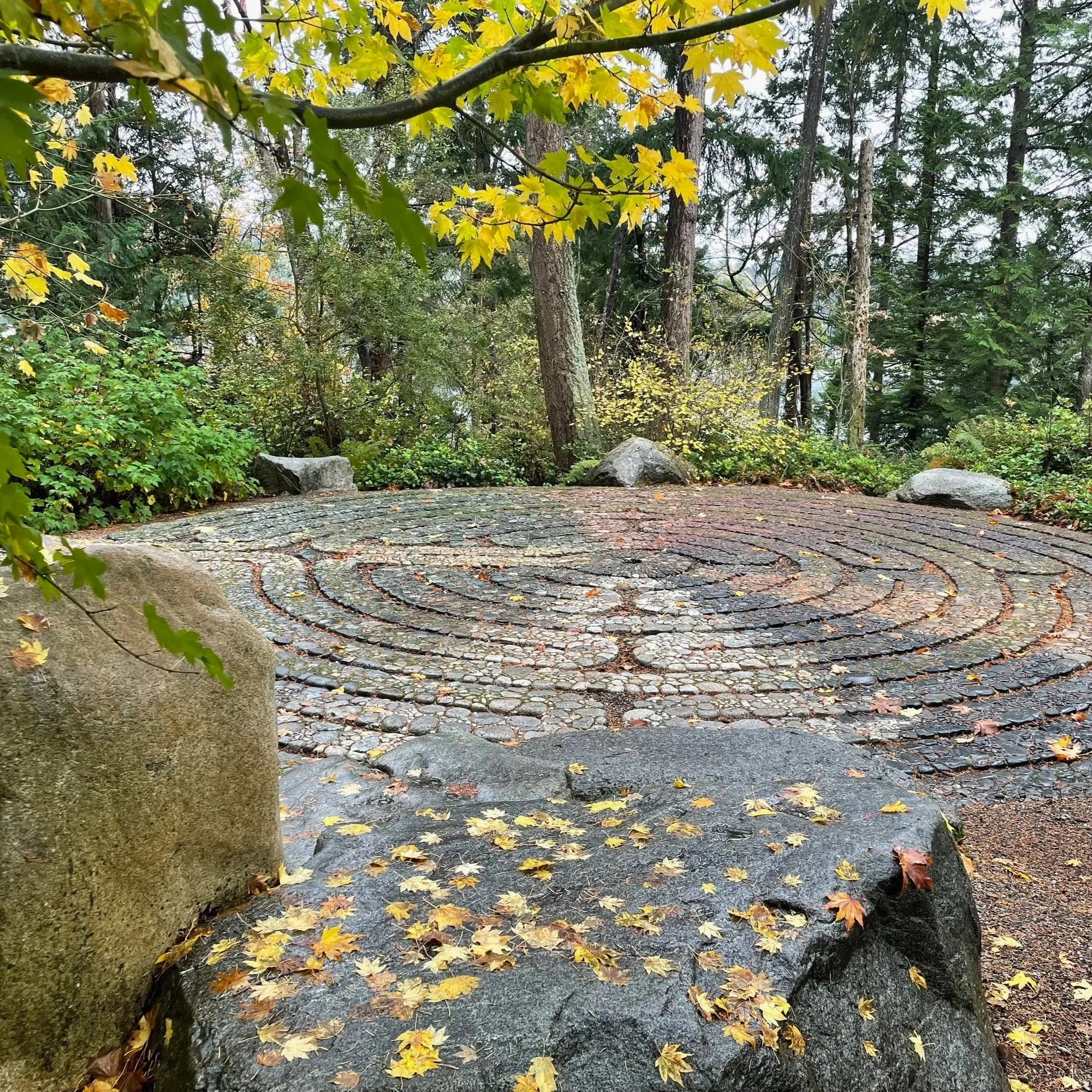 Photo of an outdoor labrynth made of cement and stones. Surrounding it are trees with the yellowing fall leaves that have fallen on large boulders. In the distance there are fir trees and other shrubs framing in the clear circles of the labrynth path