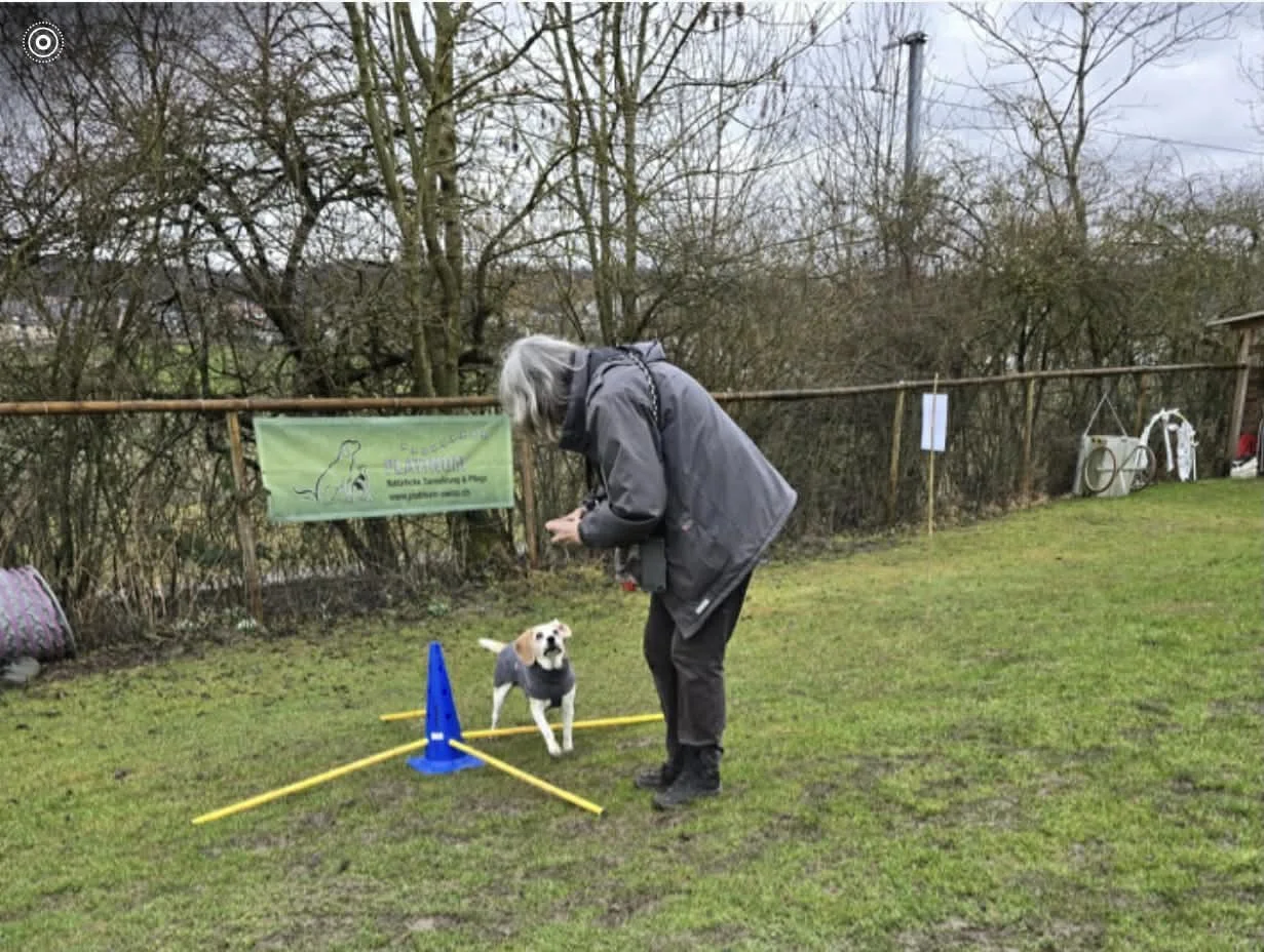Plauschgruppe - Wenn die Lebensfreude überwiegt!!