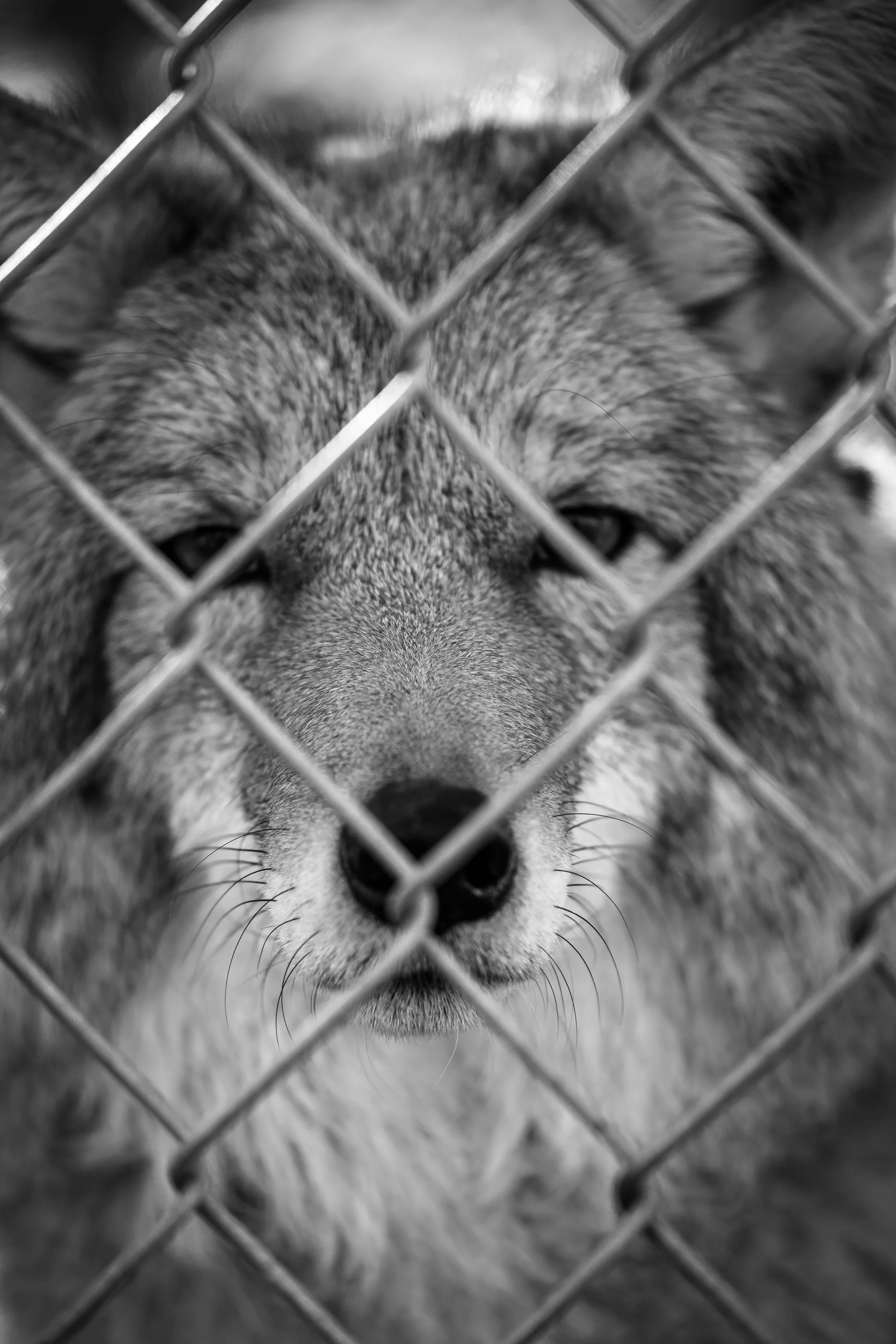 Why You Feel So Powerless