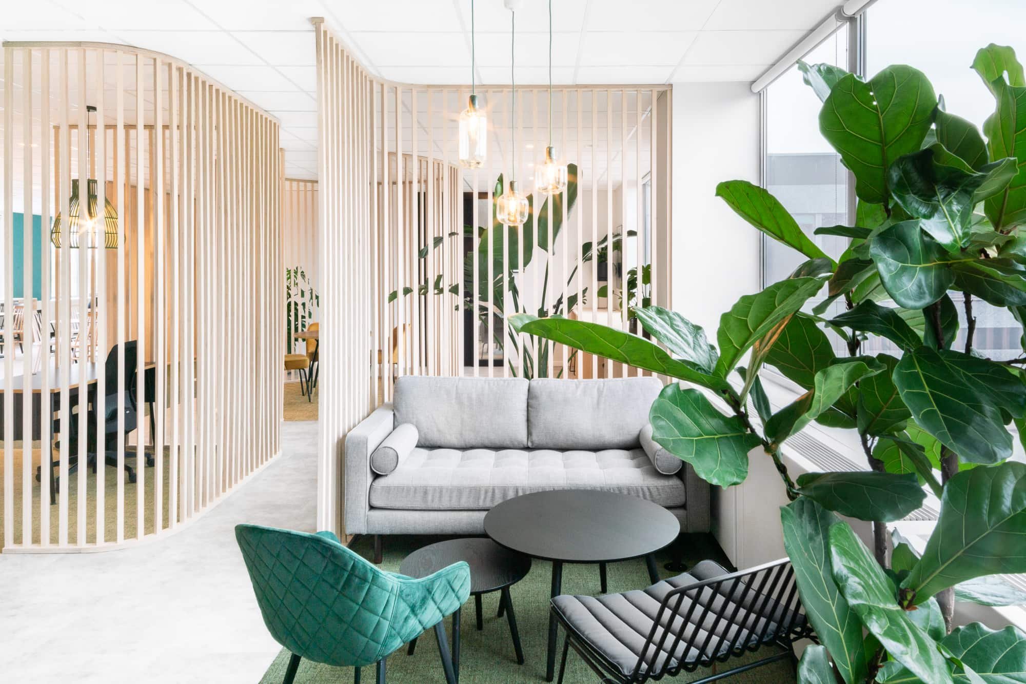 Biophilic design in hotel spaces