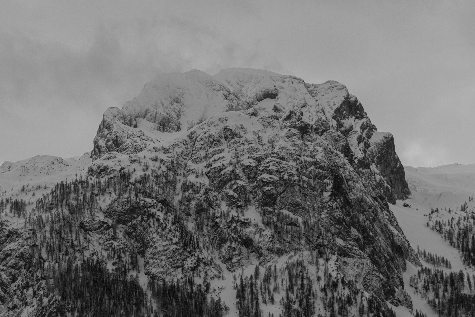 untitled-2.jpg