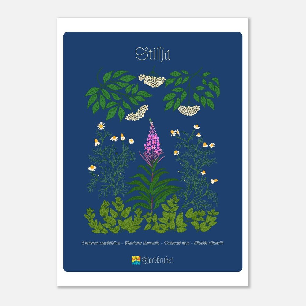 Stillja