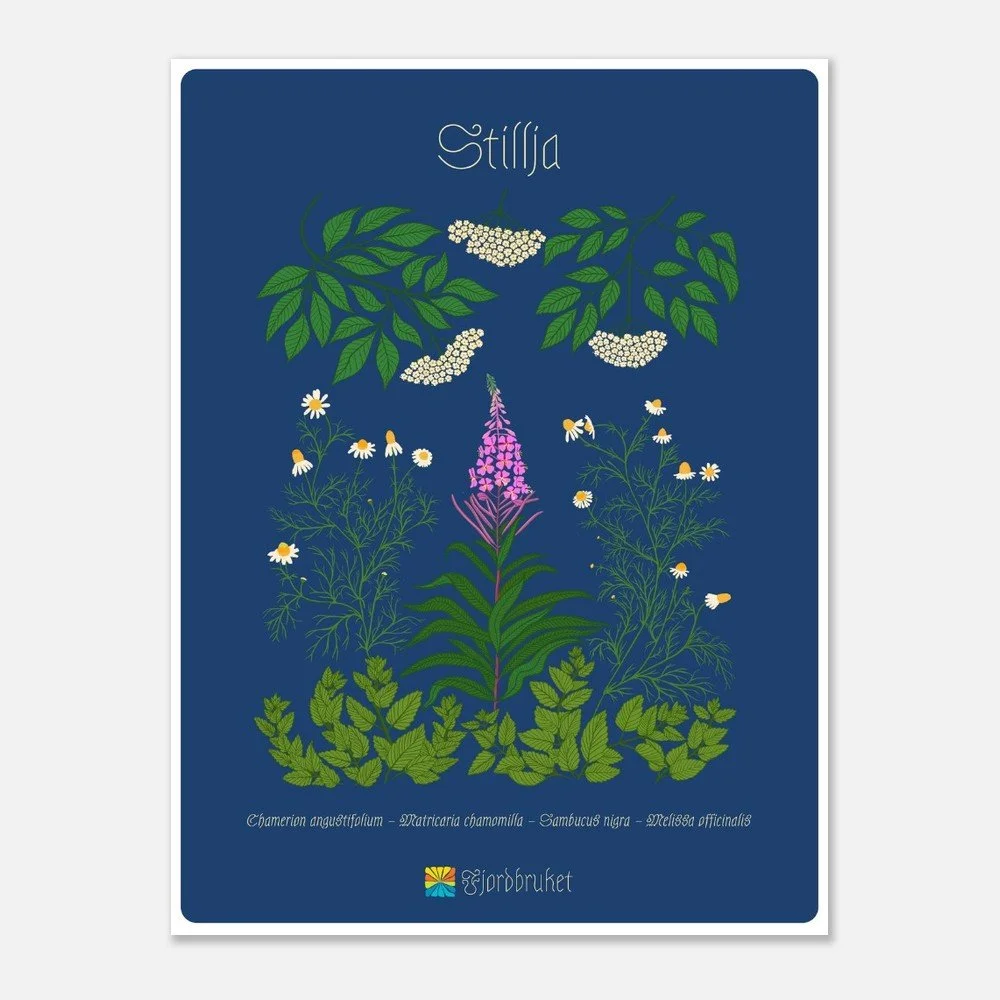 Stillja