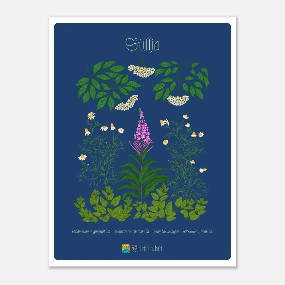 Stillja