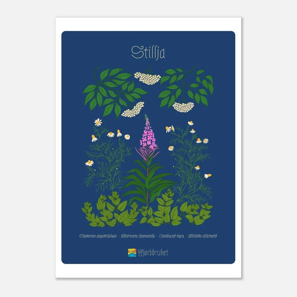 Stillja