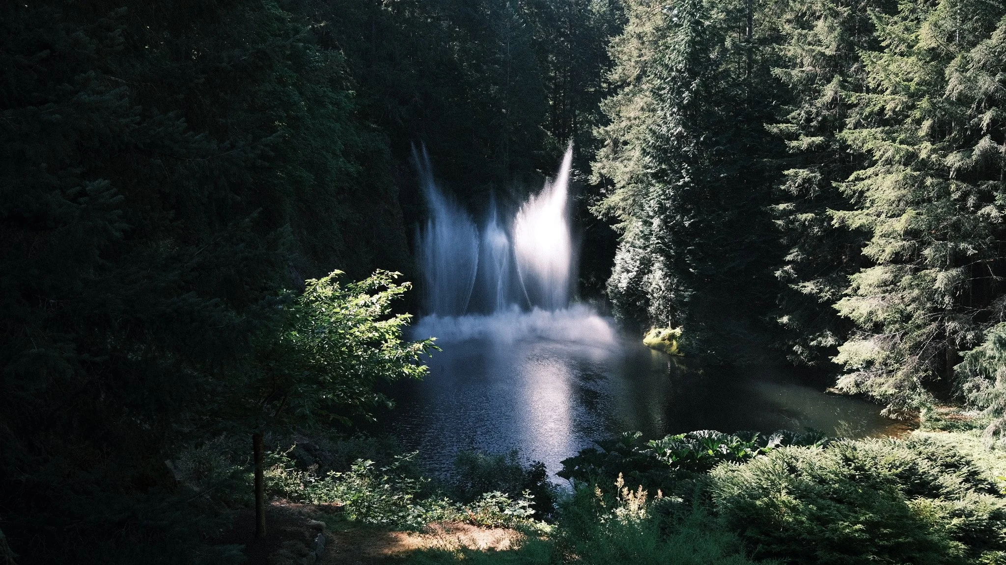DSCF7791.jpg