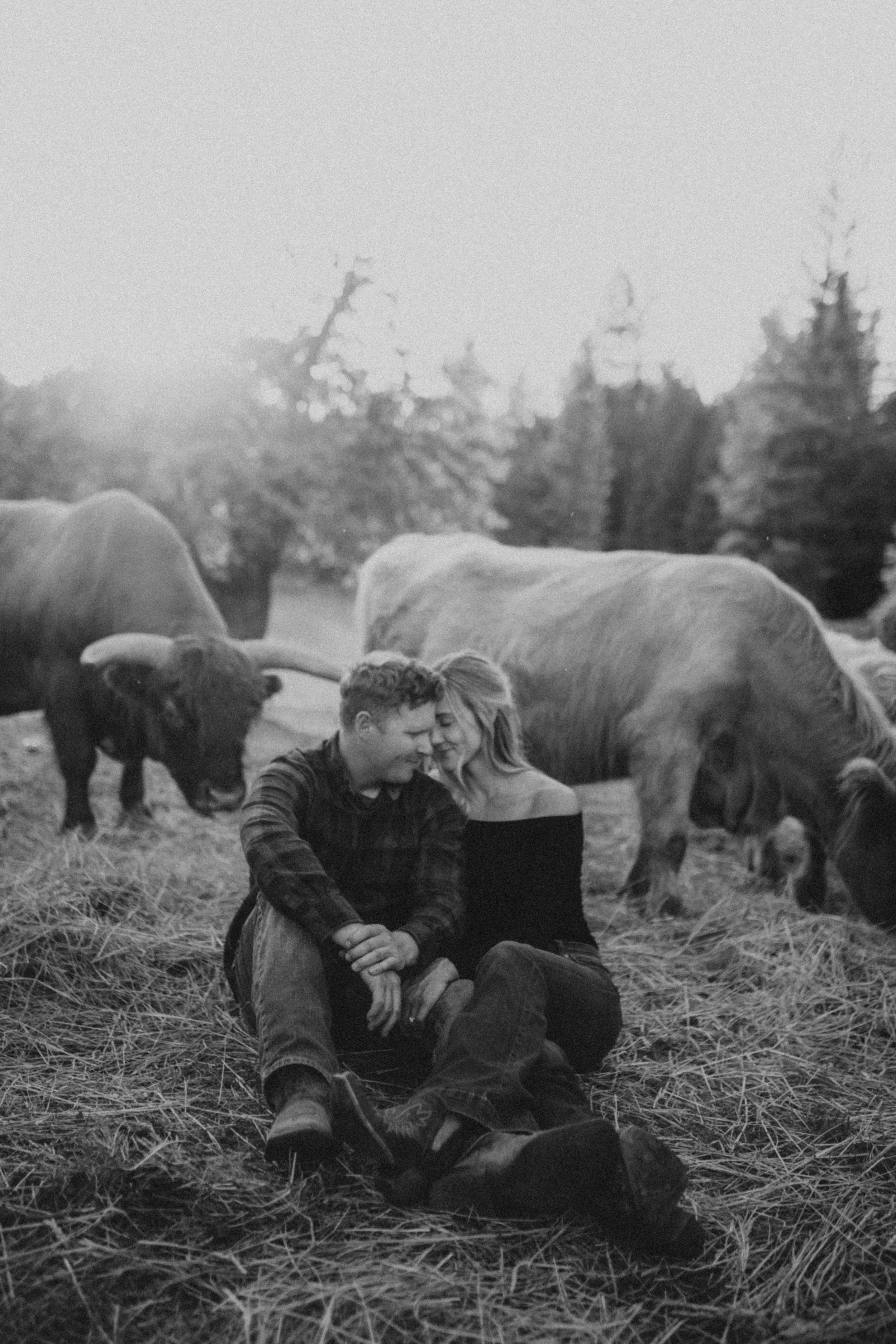 Southern Oregon Country engagement session