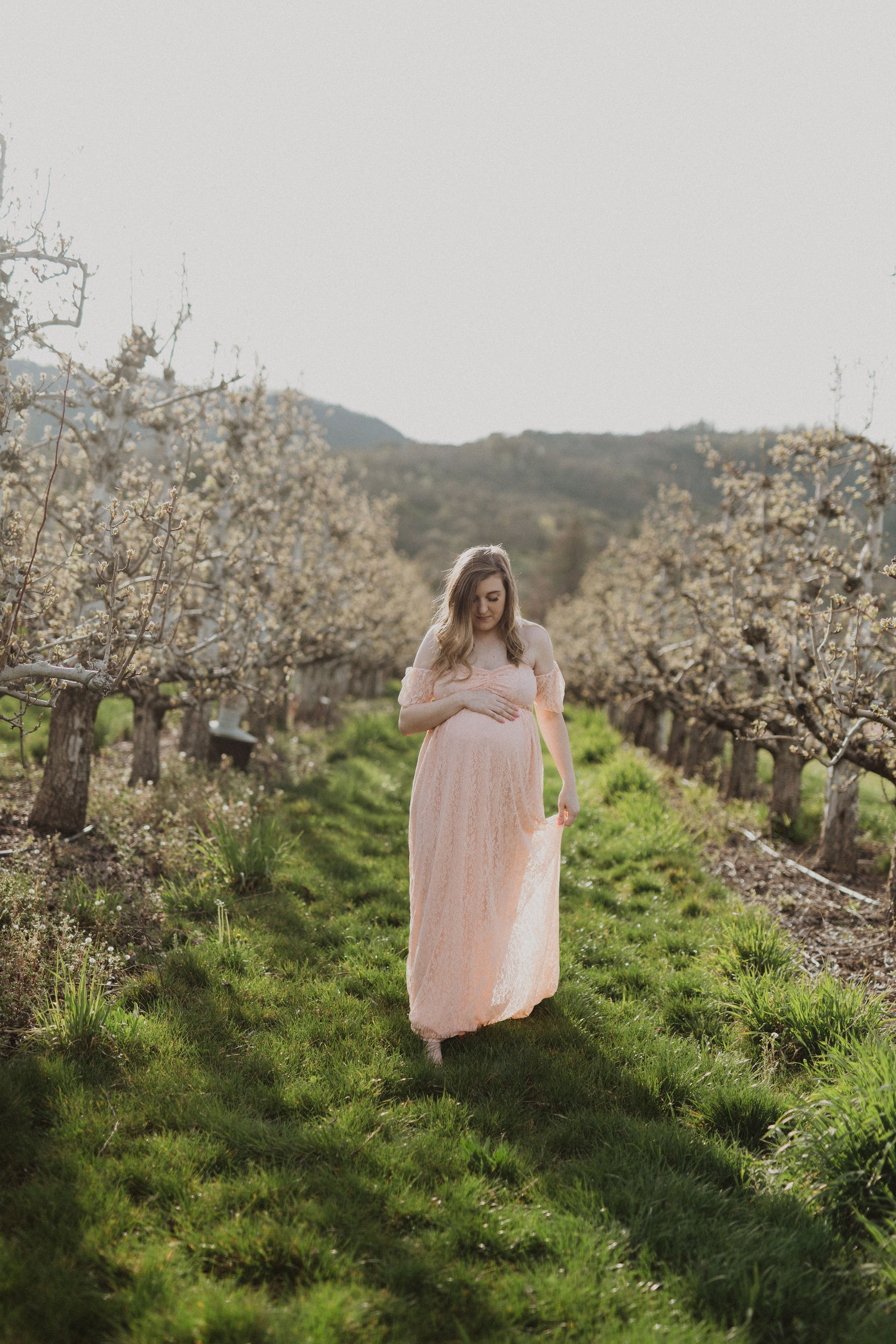 pear orchard intimate maternity session