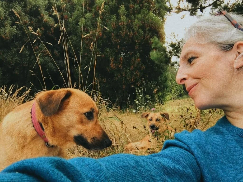 Compartir con tu amigo