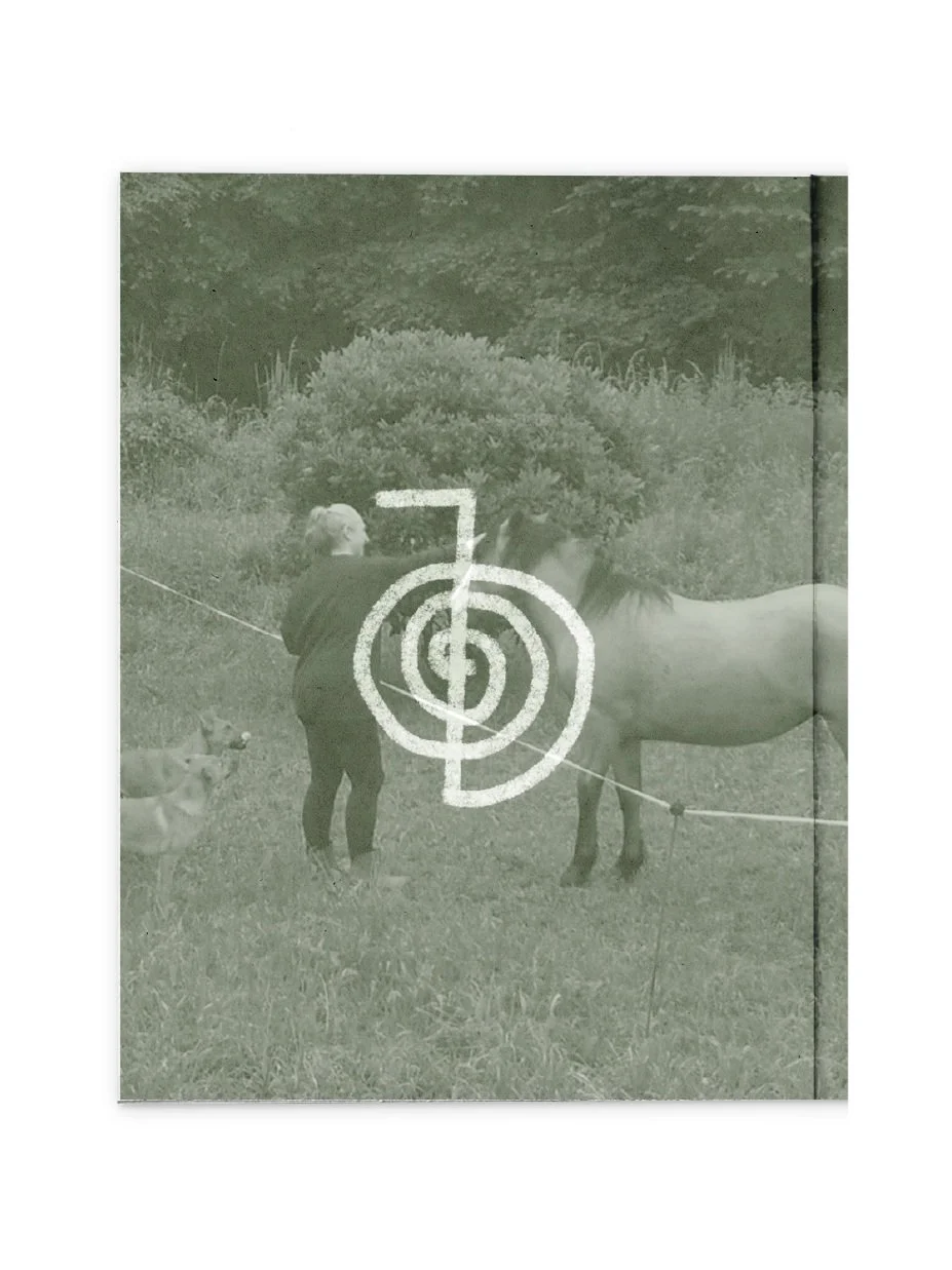 Sanación energética animal