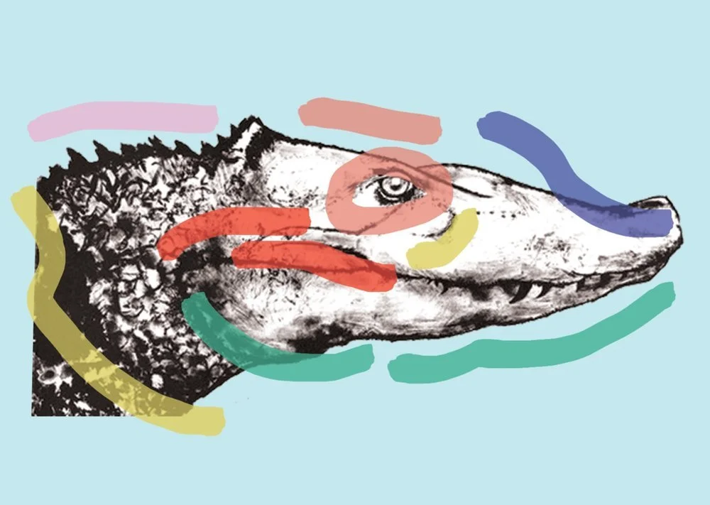 Catch &amp; Release - Finalist for Tomaž Šalamun Prize