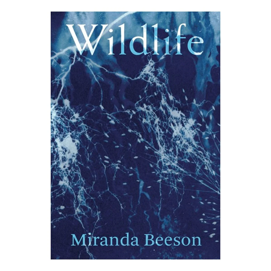 Wildlife available for pre-order